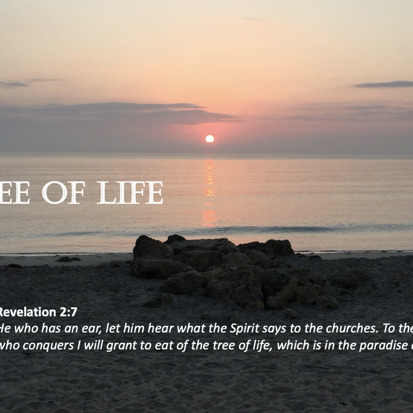 Episode 182: Promise #182 - Tree of Life (Evening)