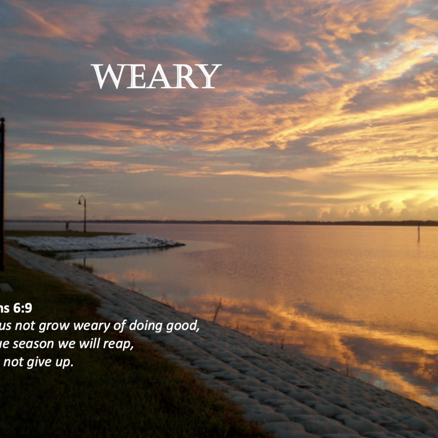 Episode 190: Promise #190 - Weary