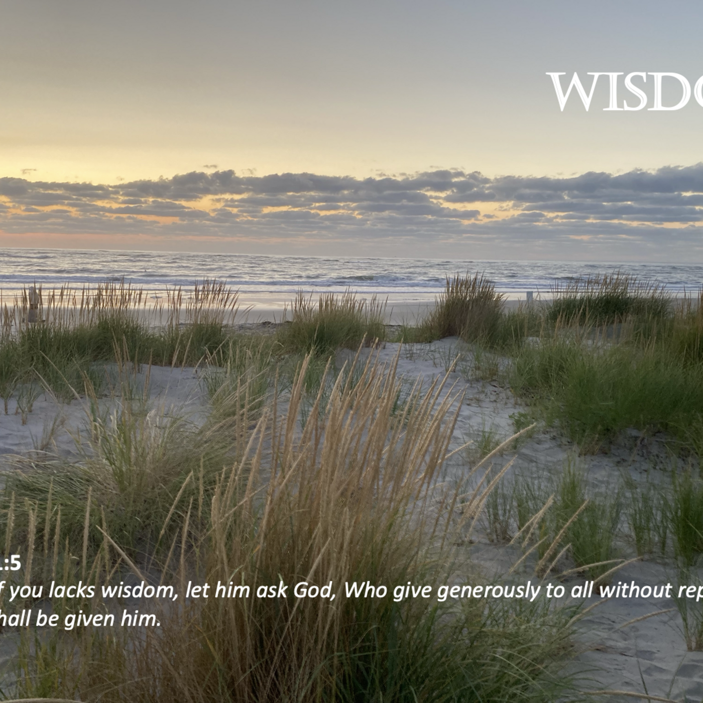 Episode 191: Promise #191 - Wisdom