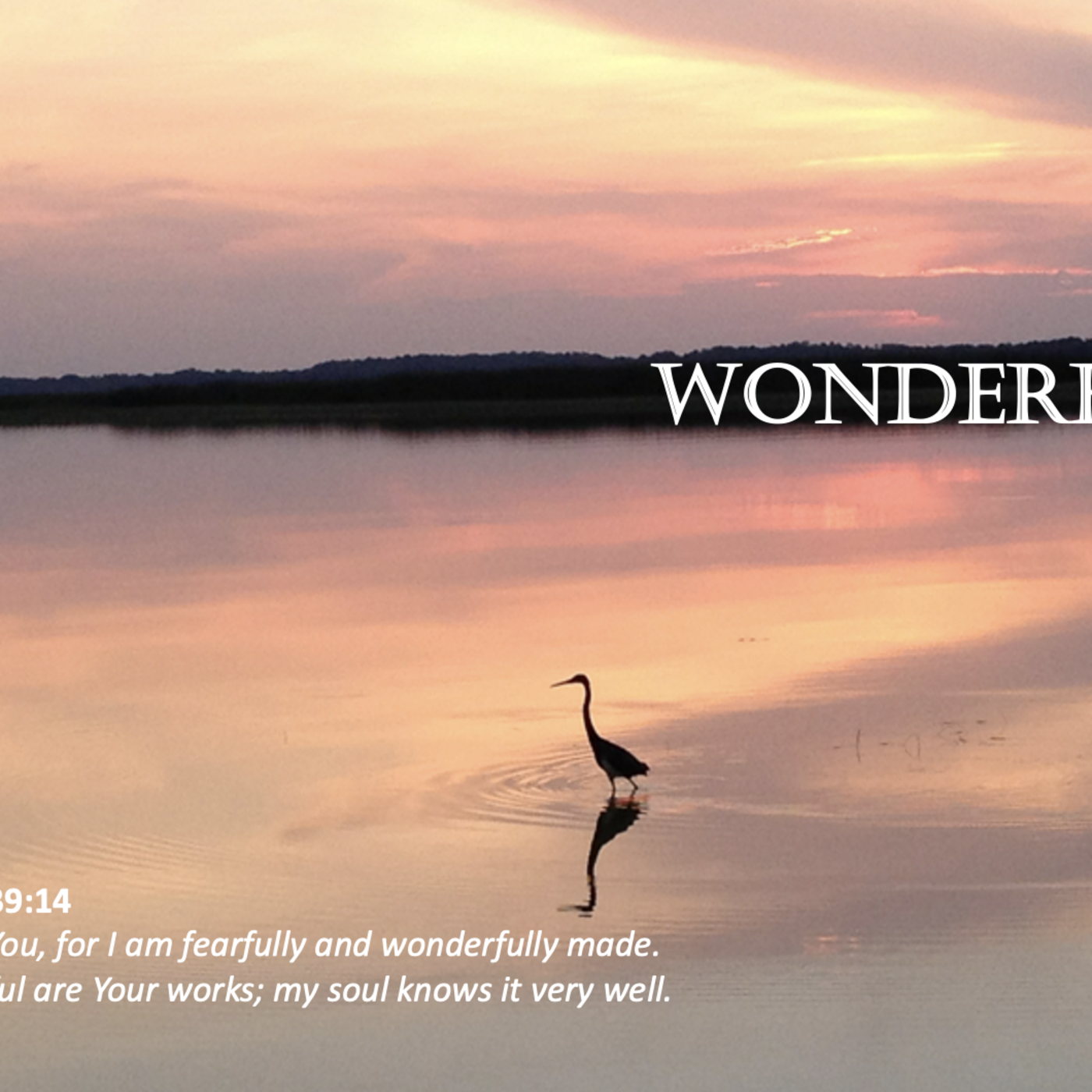 Episode 192: Promise #192 - Wonderful