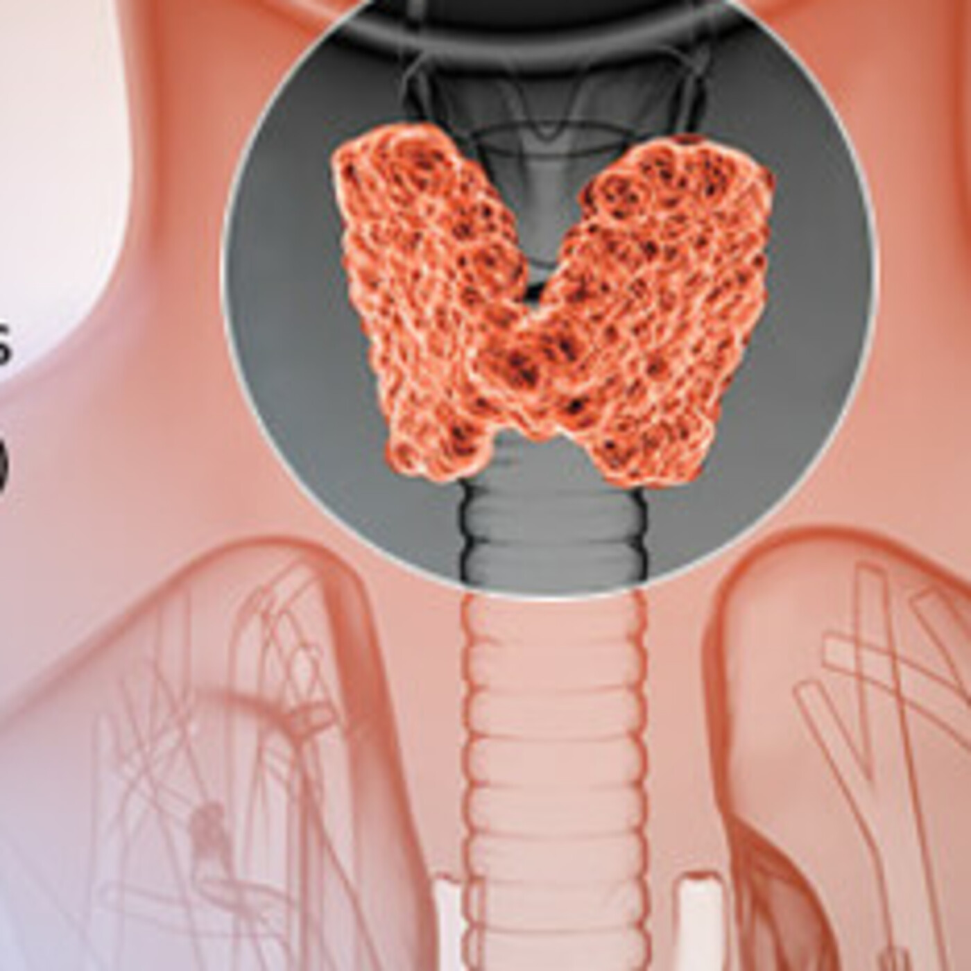 Dr. Dorninger:  Talking Thyroids