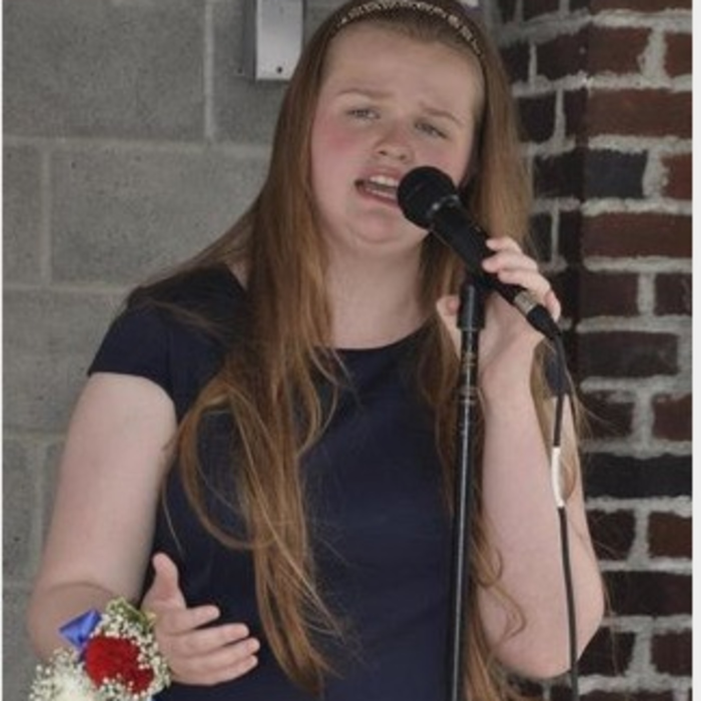 Greenwood Park Fundraiser