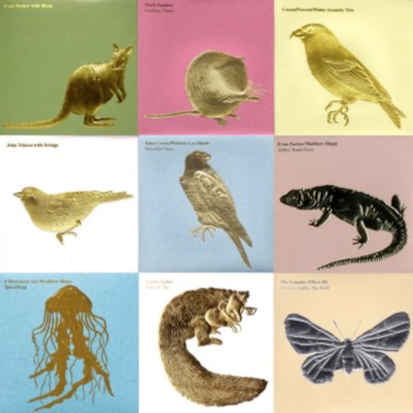 Ones de Crom Arxius 17