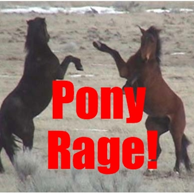 Pony Rage