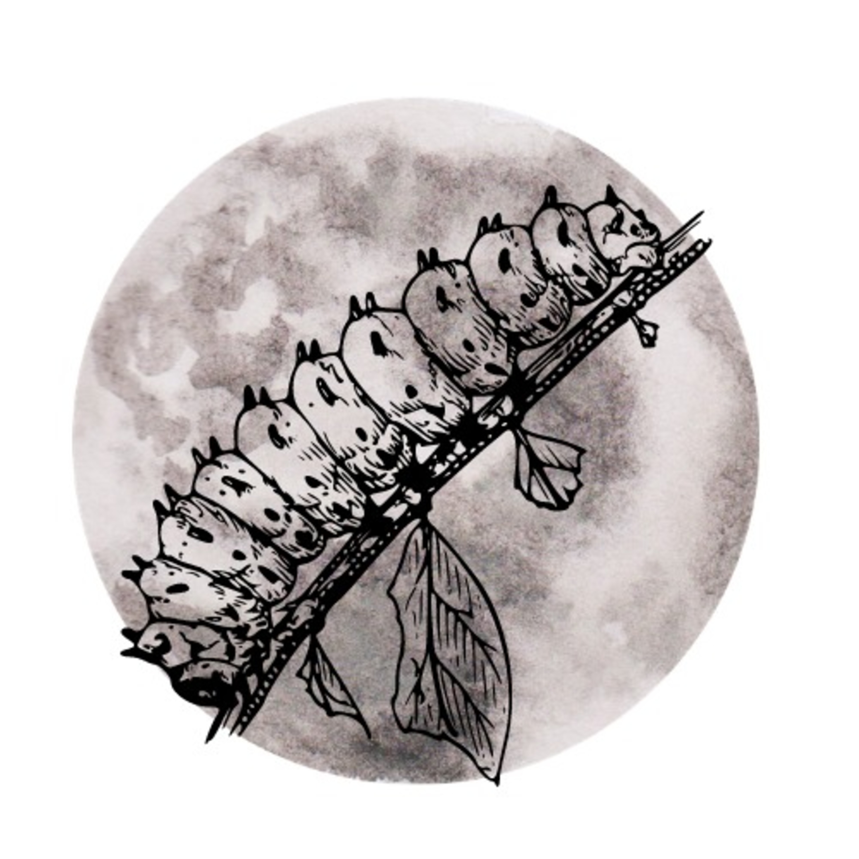 BRUCO LUNA's Podcast