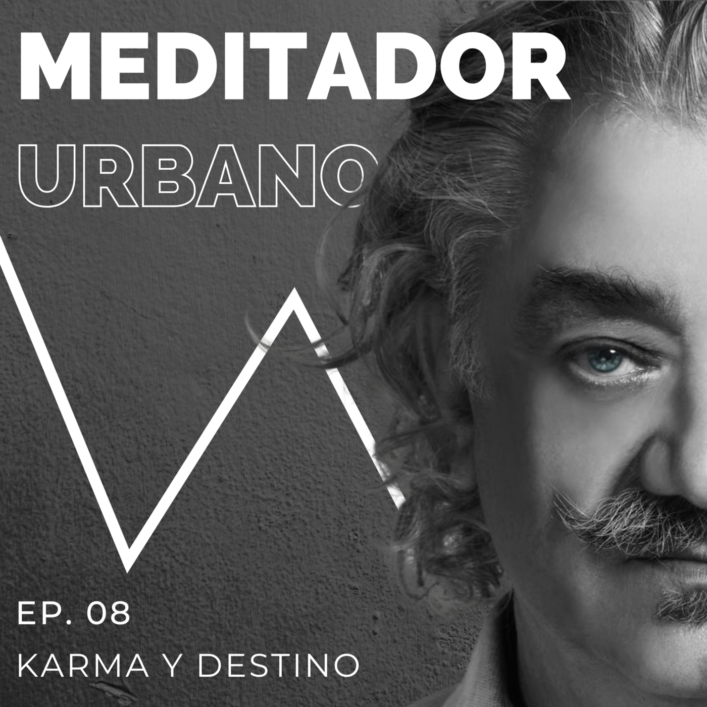 Karma y Destino | Conversaciones con la mente | Ep. 08 episode artwork