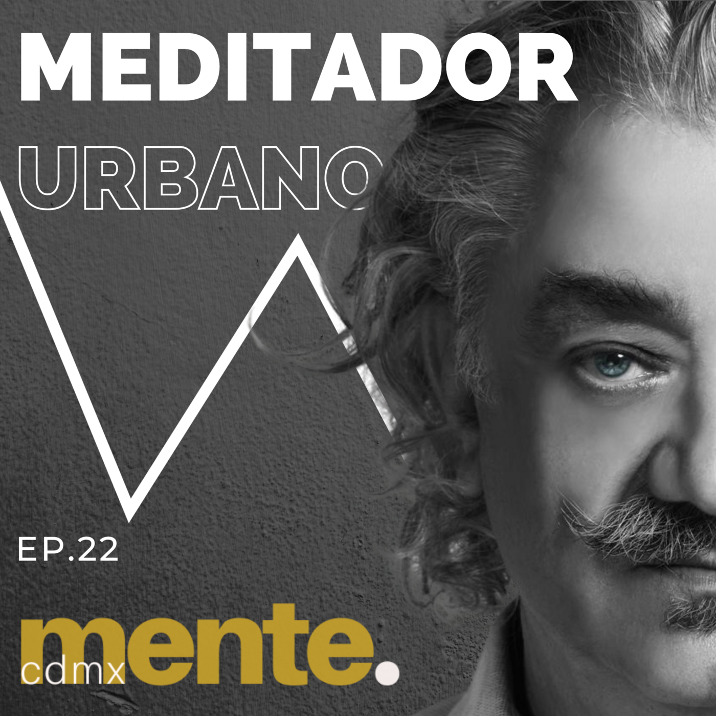 La mente de tu ciudad | Conversaciones con la mente | Ep.22 episode artwork