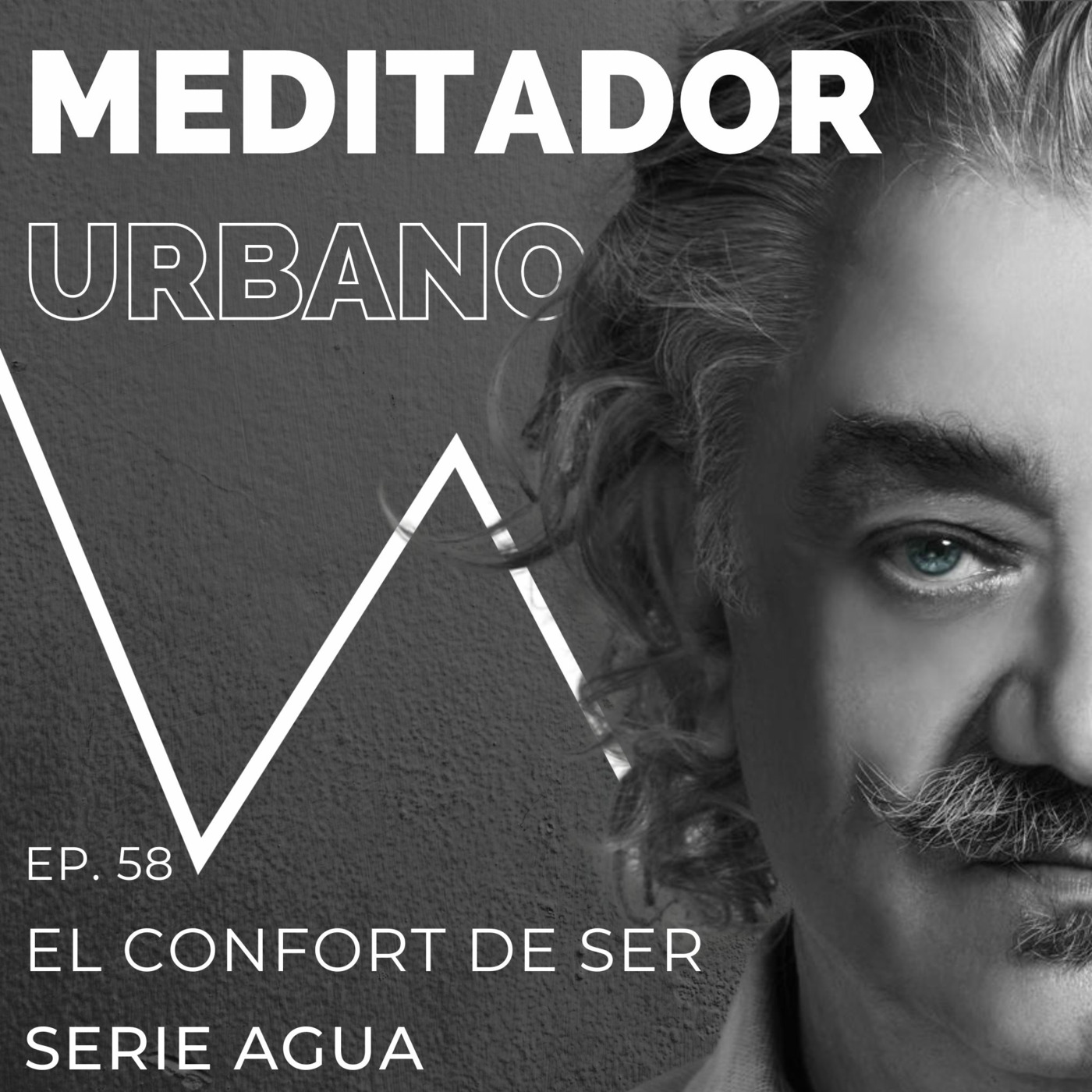El confort de ser | Serie Agua (1 de 4) | Conversaciones con la mente | Ep. 60 episode artwork