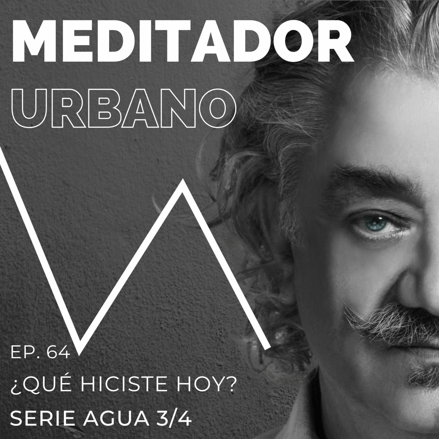 ¿Qué hiciste hoy para buscar calma y plenitud? | Serie Agua (3 de 4) | Conversaciones con la mente | Ep. 64 episode artwork