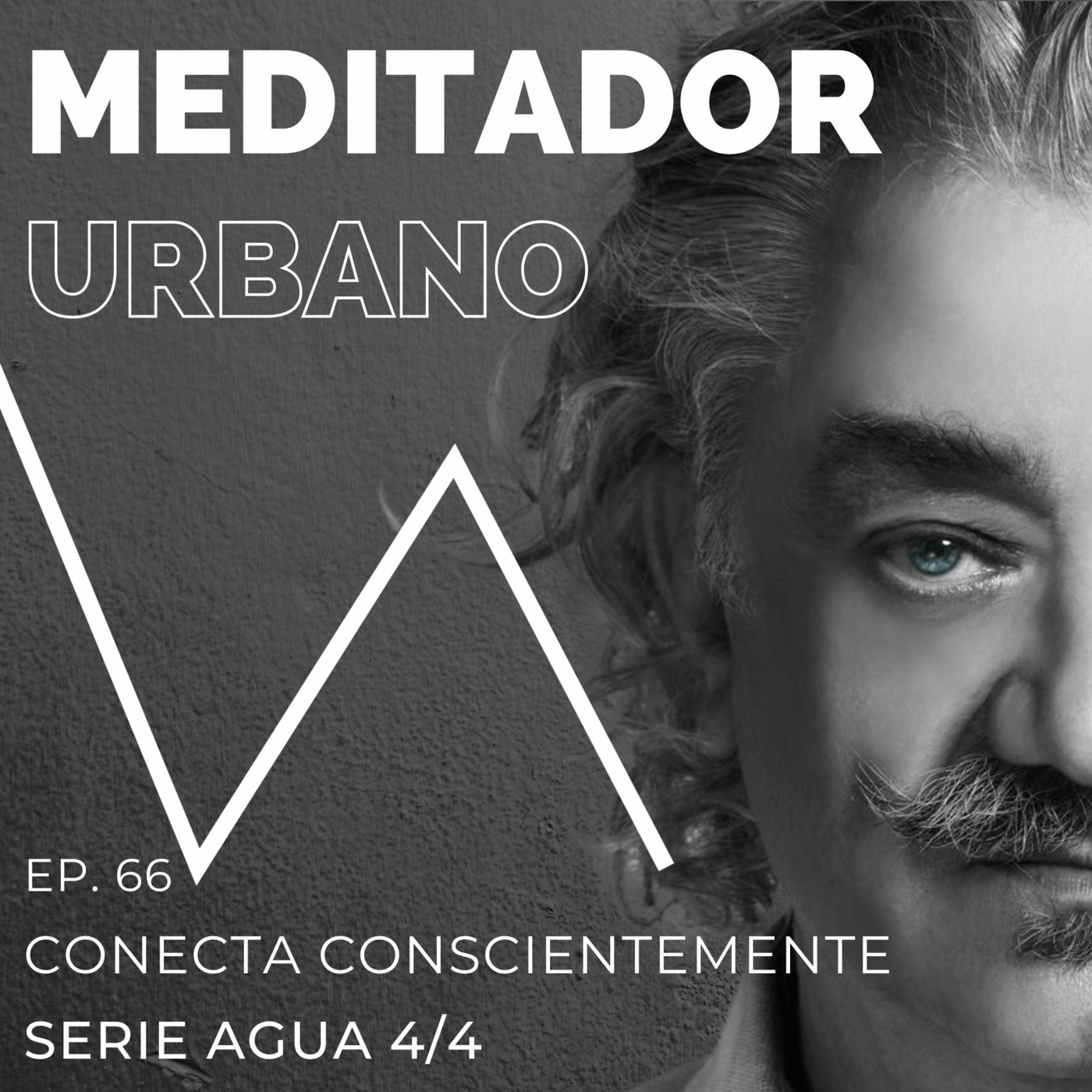 Conecta conscientemente | Serie Agua (4 de 4) | Conversaciones con la mente | Ep. 66 episode artwork