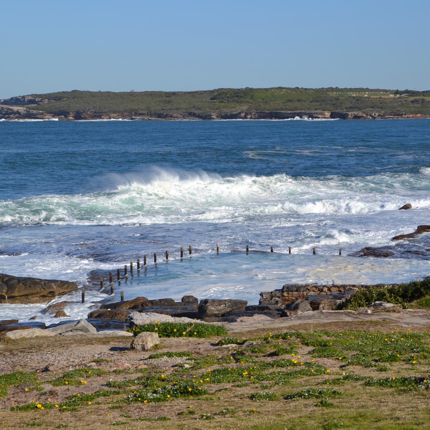 Bus To Bondi