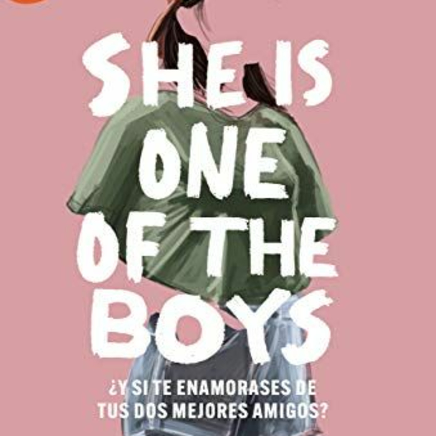 Episode 38: She Is One Of The Boys (resumen y análisis) episode artwork