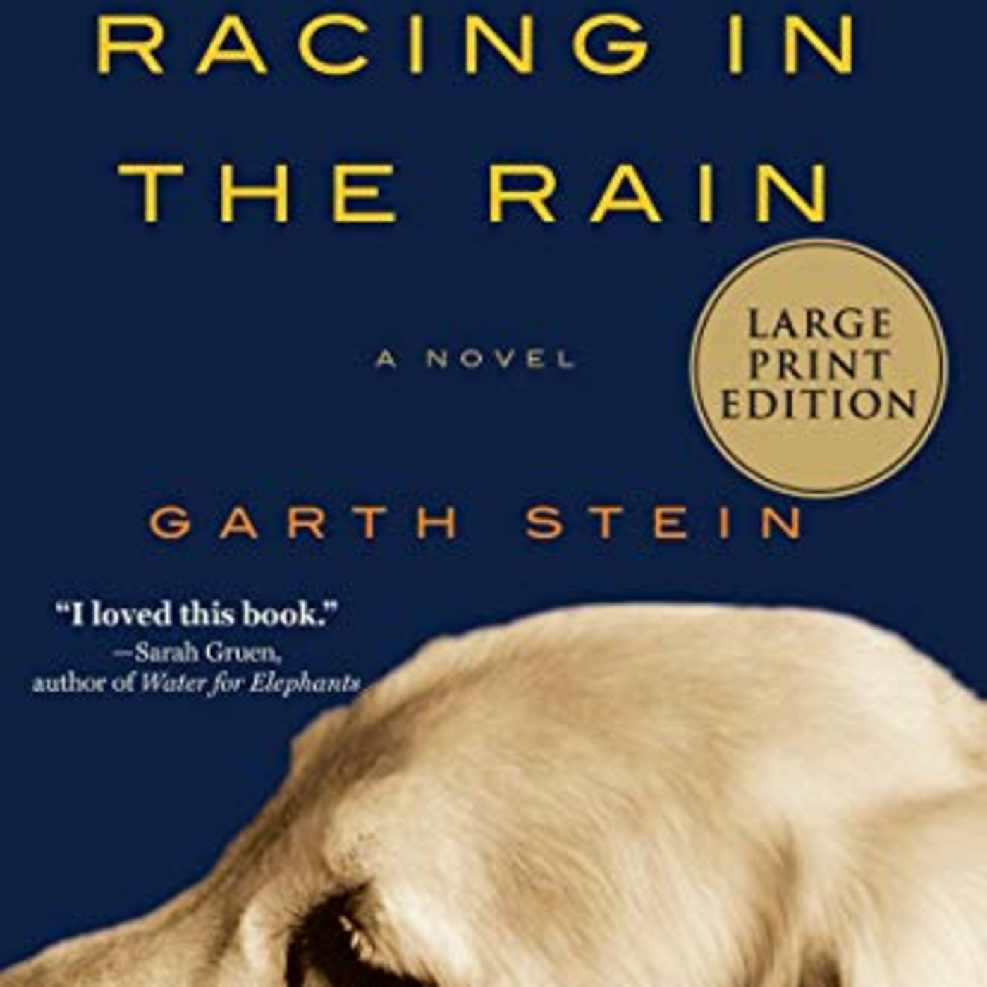 Episode 61: The Art of Racing in the Rain (resumen y análisis) episode artwork