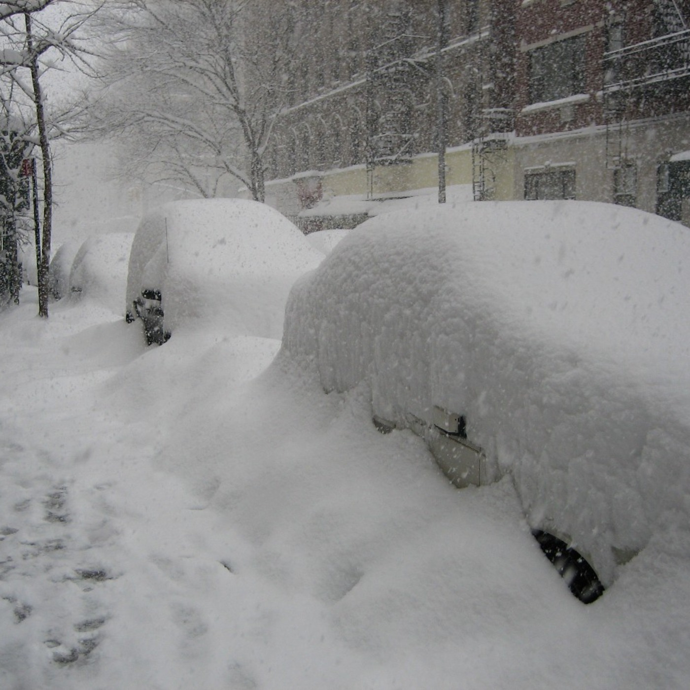 Mss 63 - Snowed In Mix