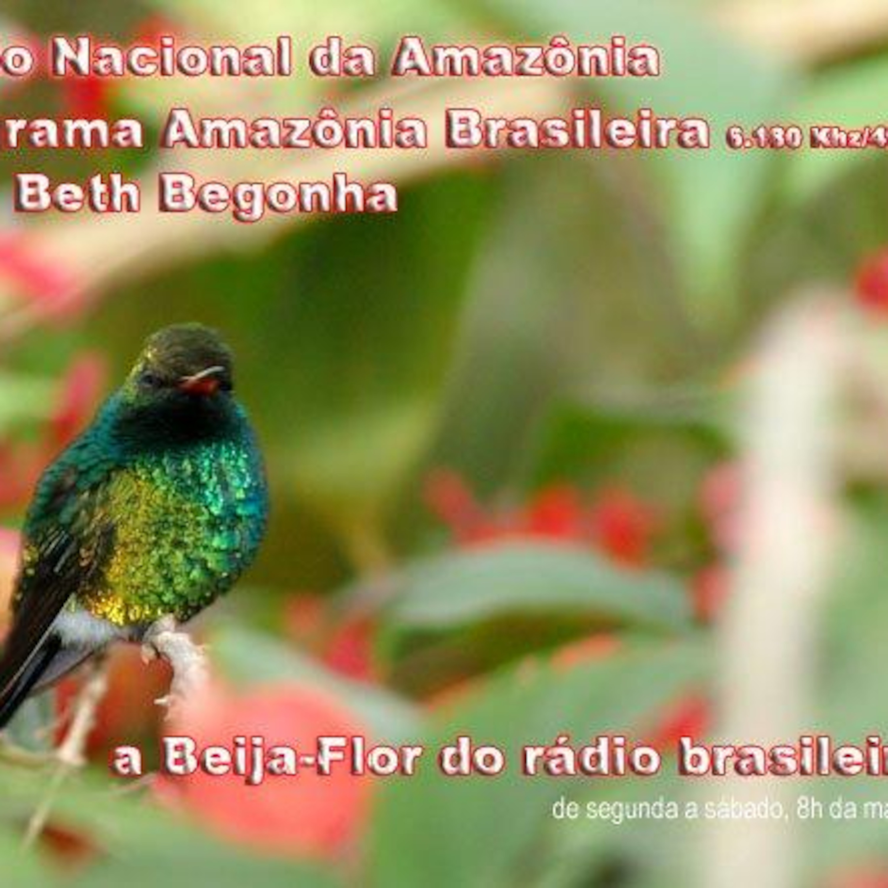 X - Rapper do DF X - Rapper do DF