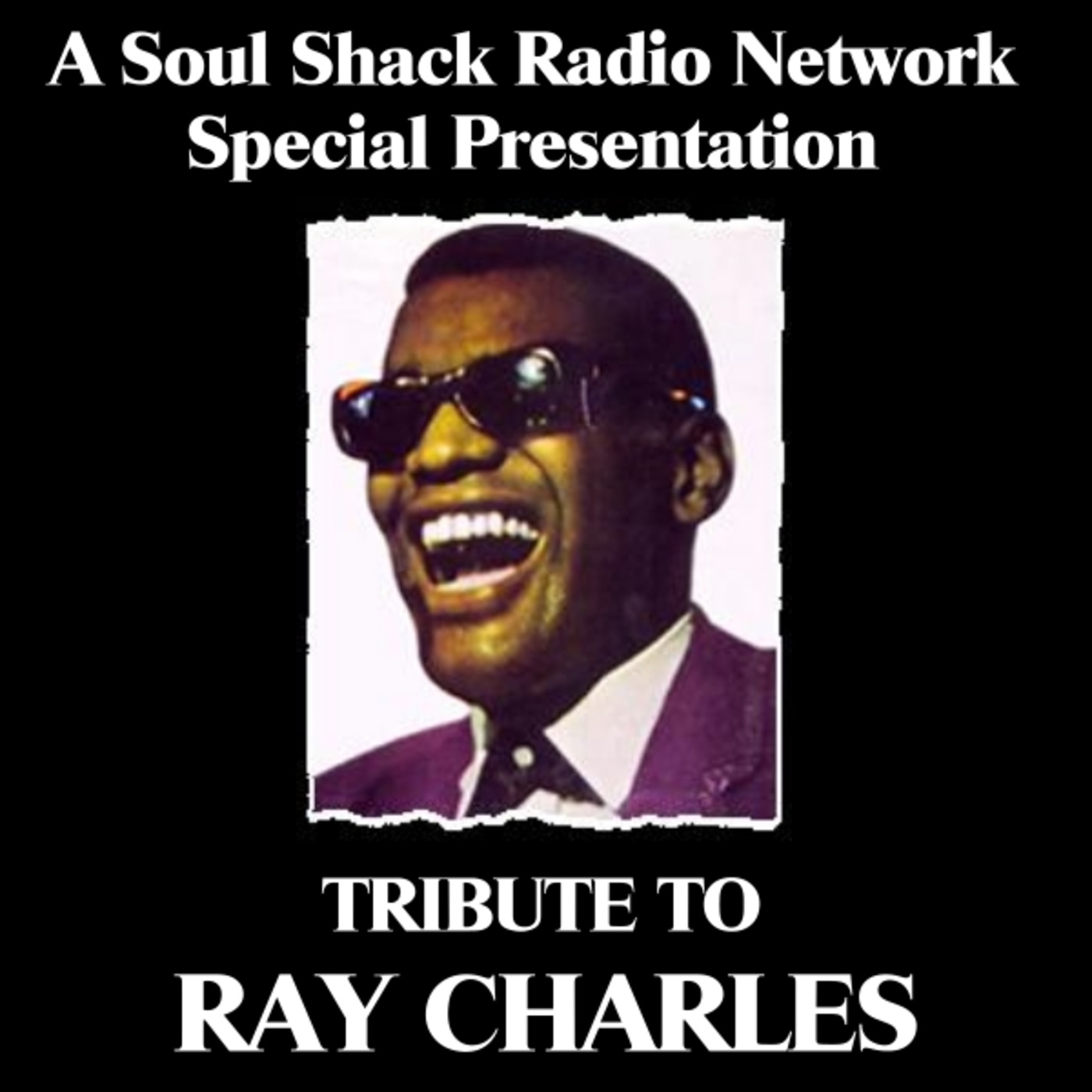 Tribute To Ray Charles episode artwork