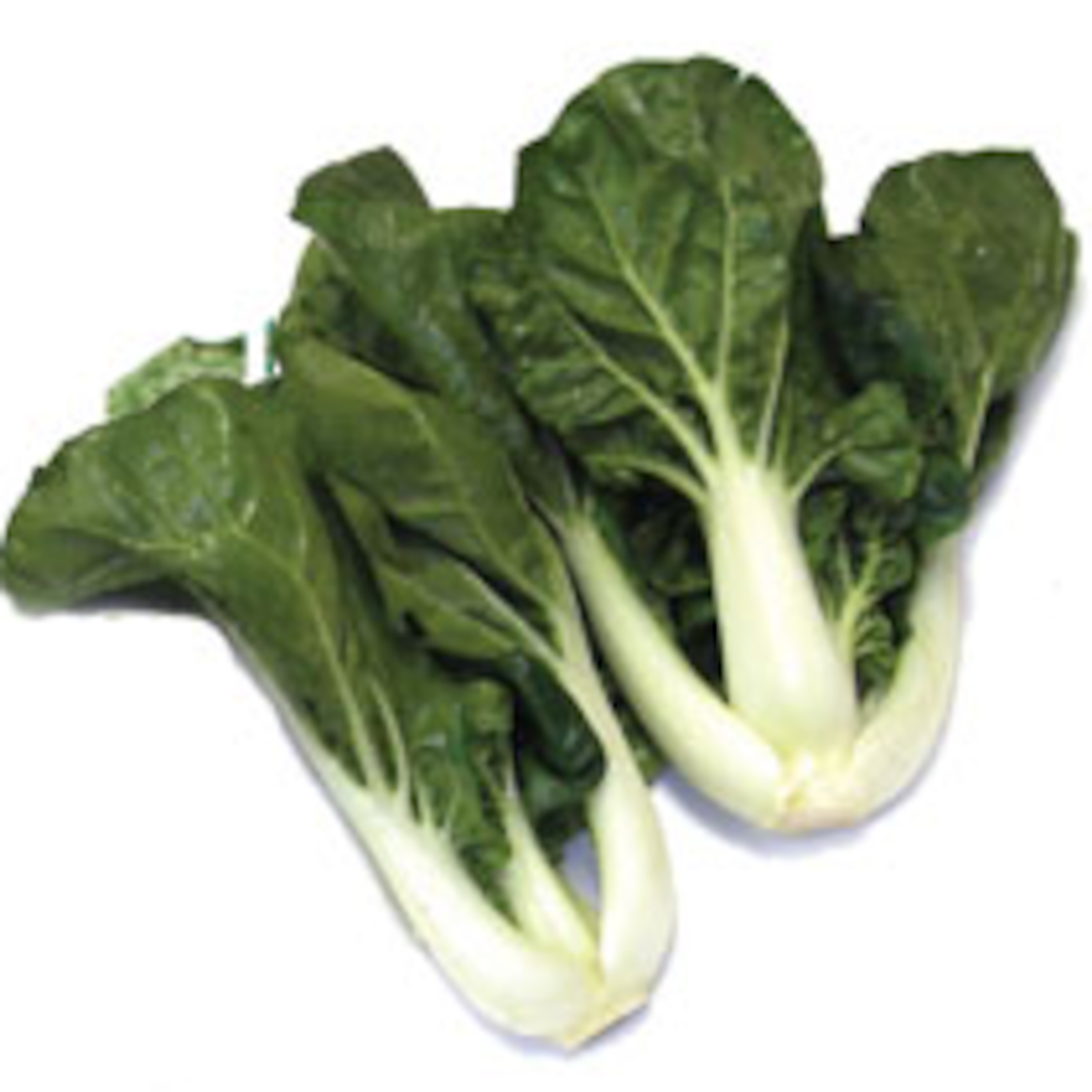 Episode 24: Baby Bok Choy
