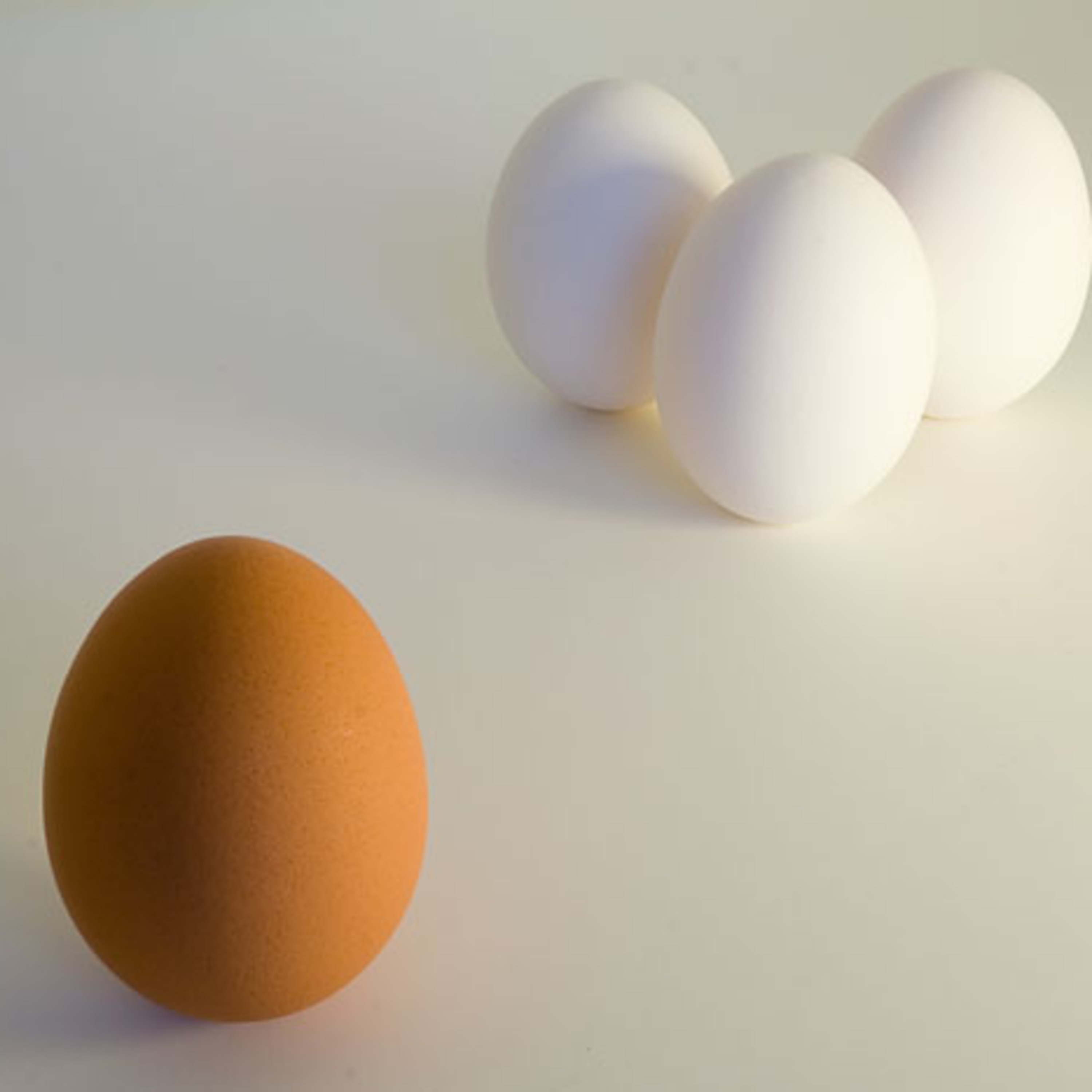 Episode 25: Racism!  Peow!  Peow!  Peow!