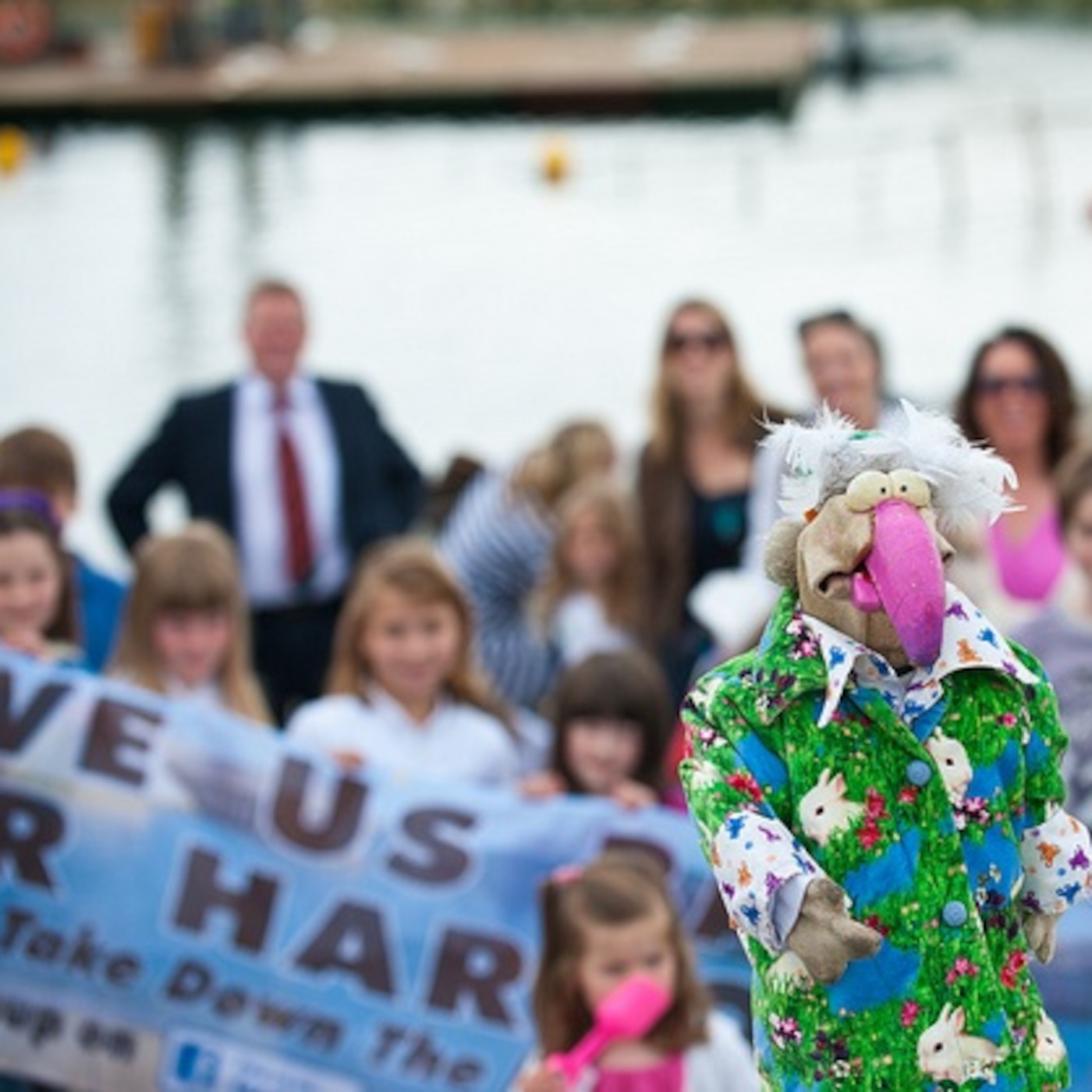 GIVE US BACK OUR HARBOUR!! podcast artwork