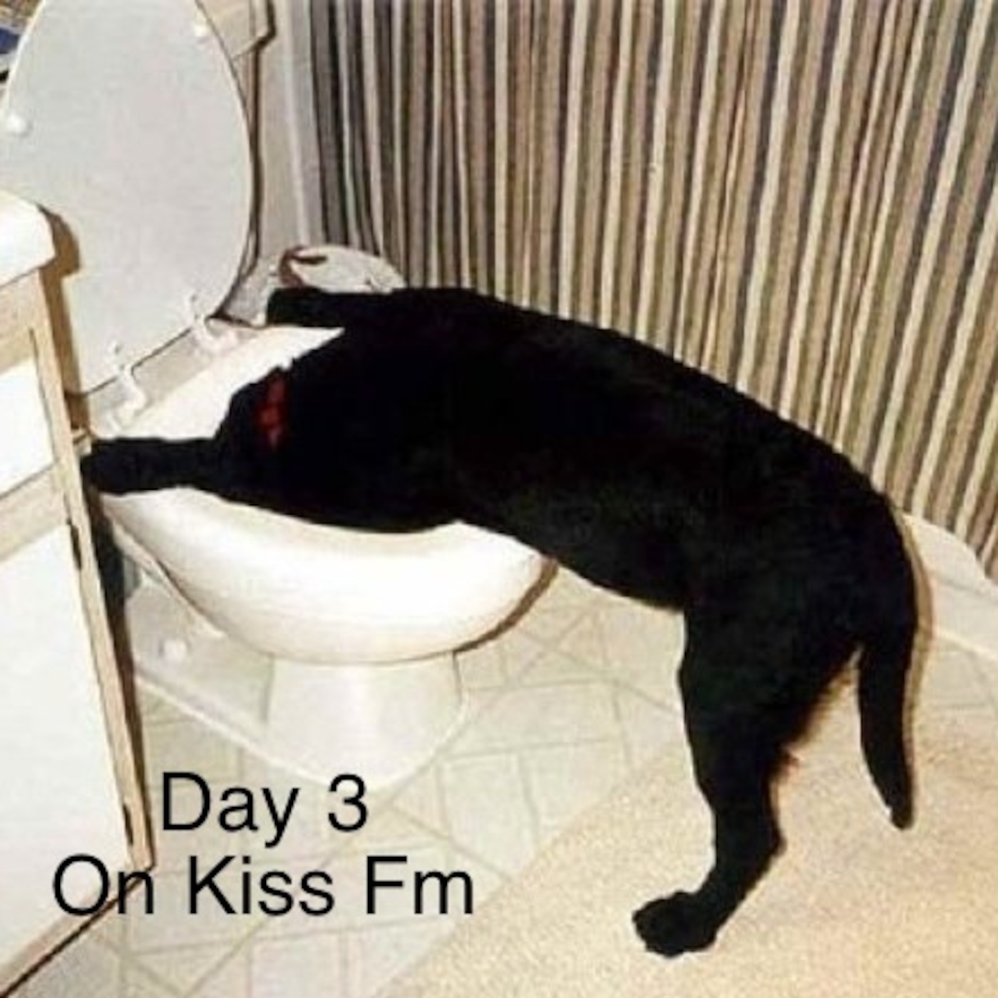 Day 3 podcast artwork