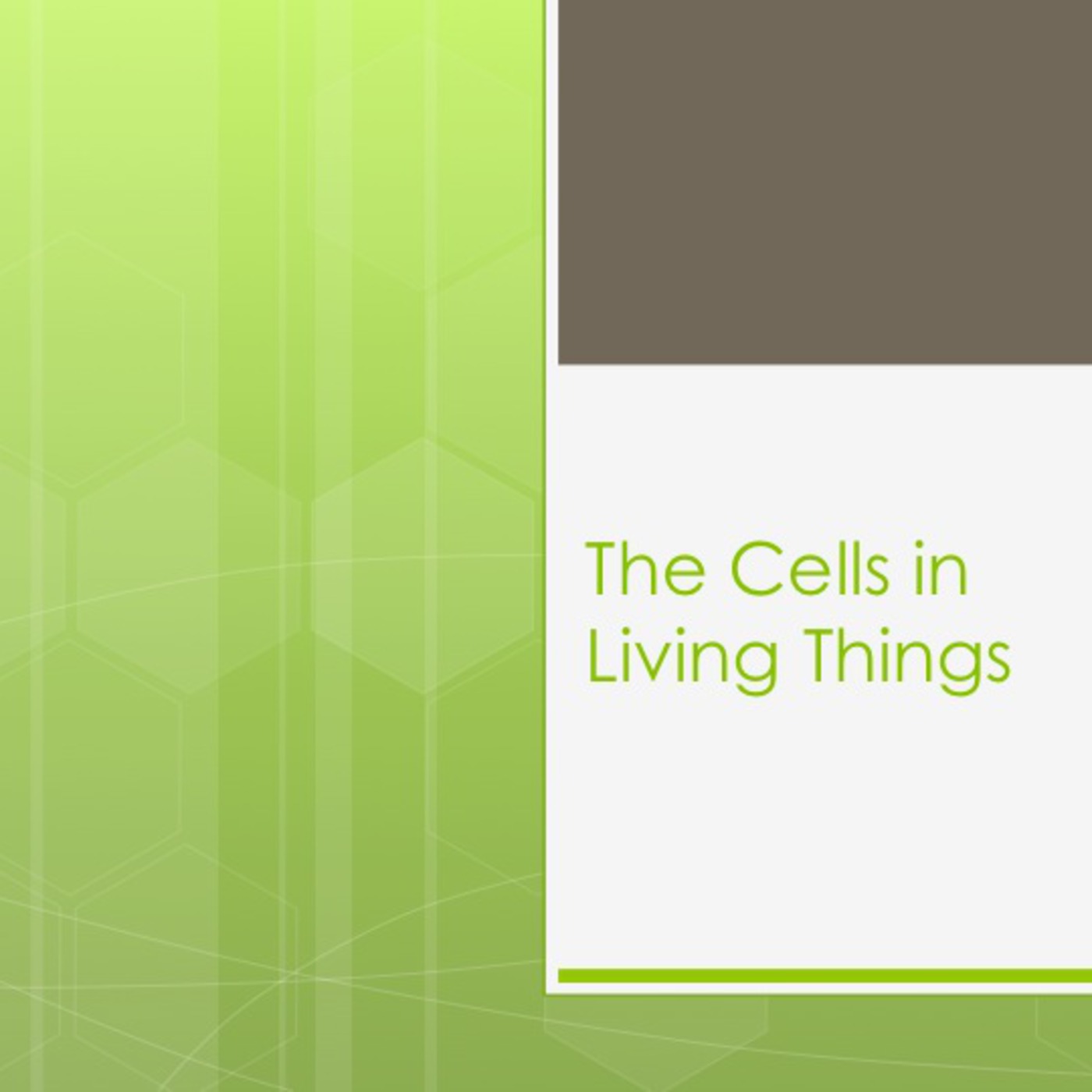 Grade 4 Science:  The Cells in Living Things