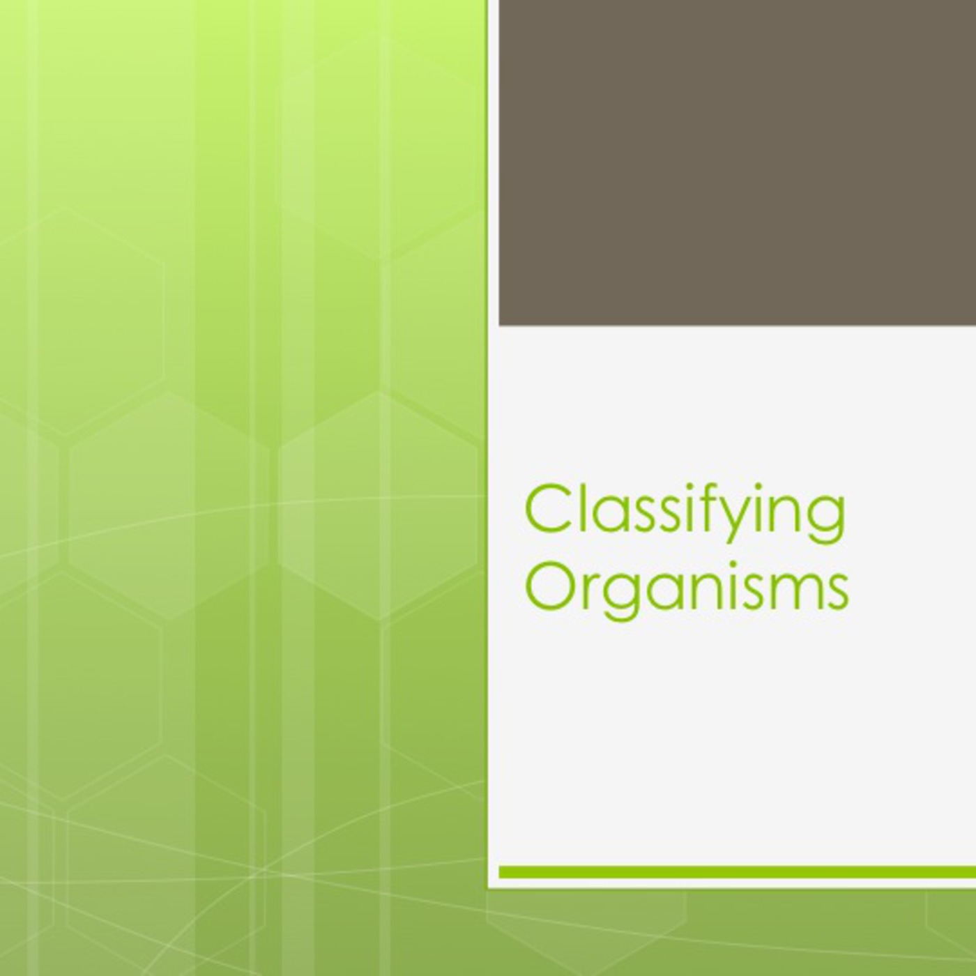 Grade 4 Science:  Classifying Organisms