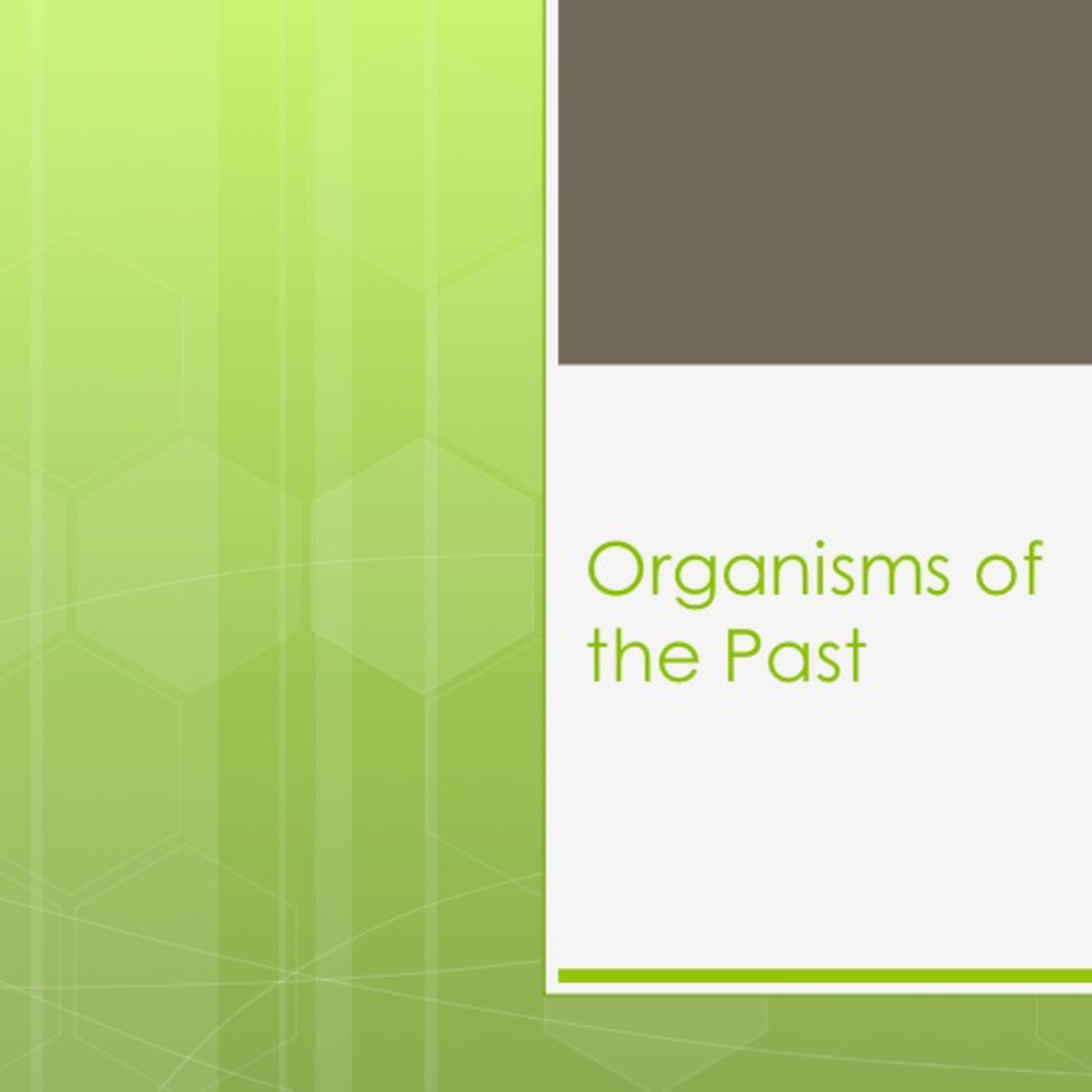 Grade 4 Science:  Organisms of the Past