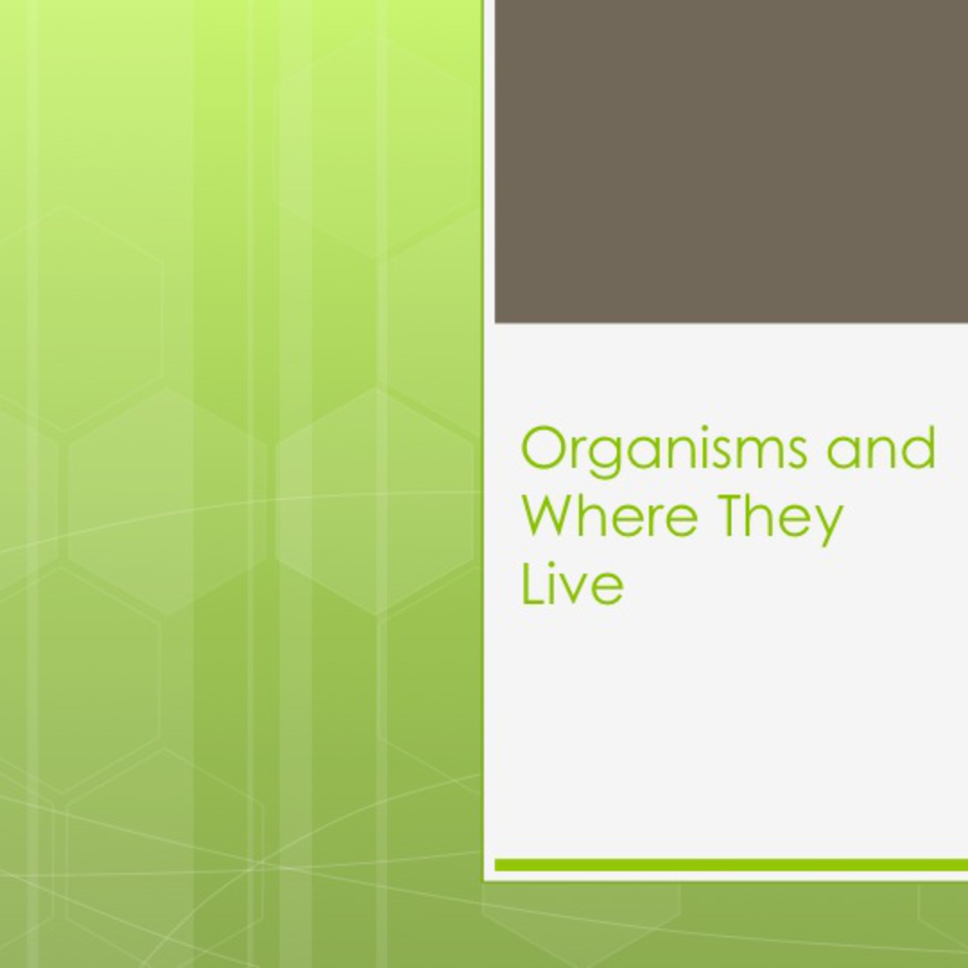 Organisms and Where They Live