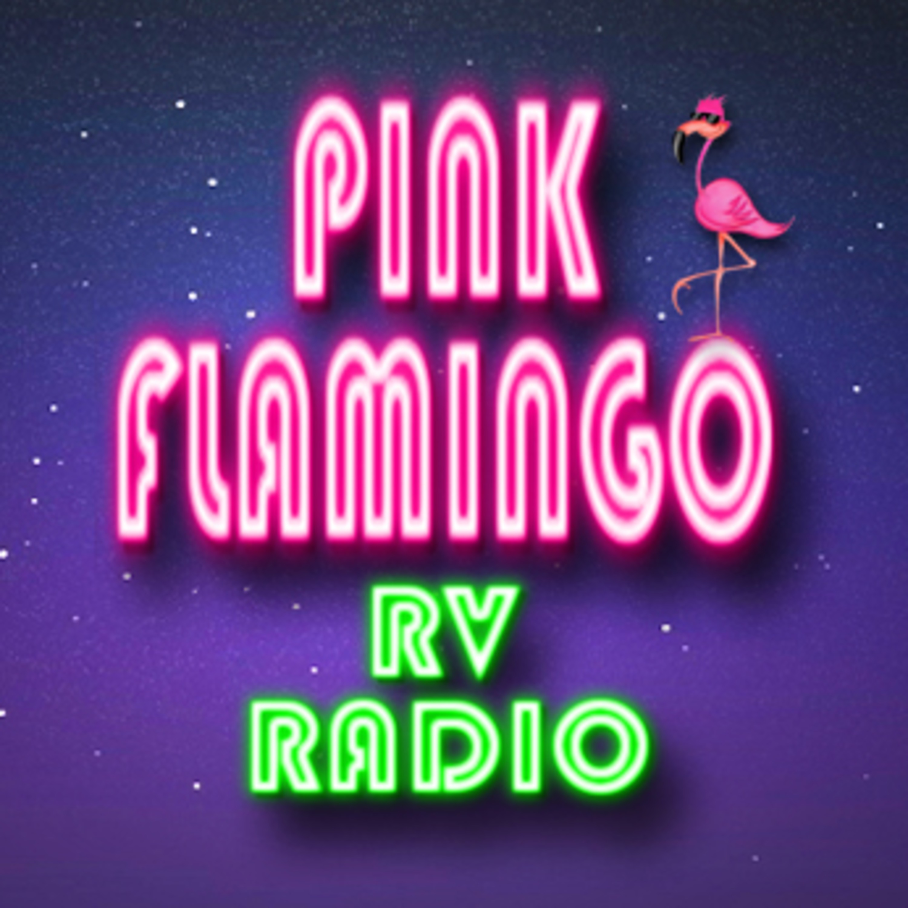 Pink Flamingo RV Radio