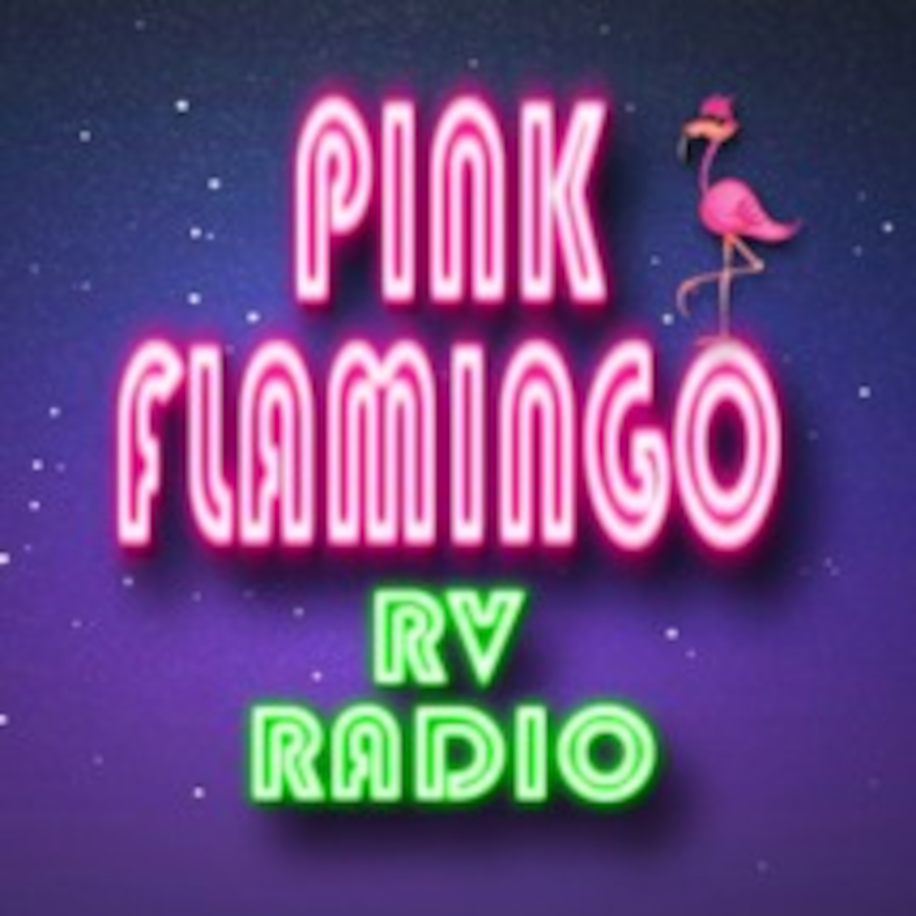 Pink Flamingo RV Radio