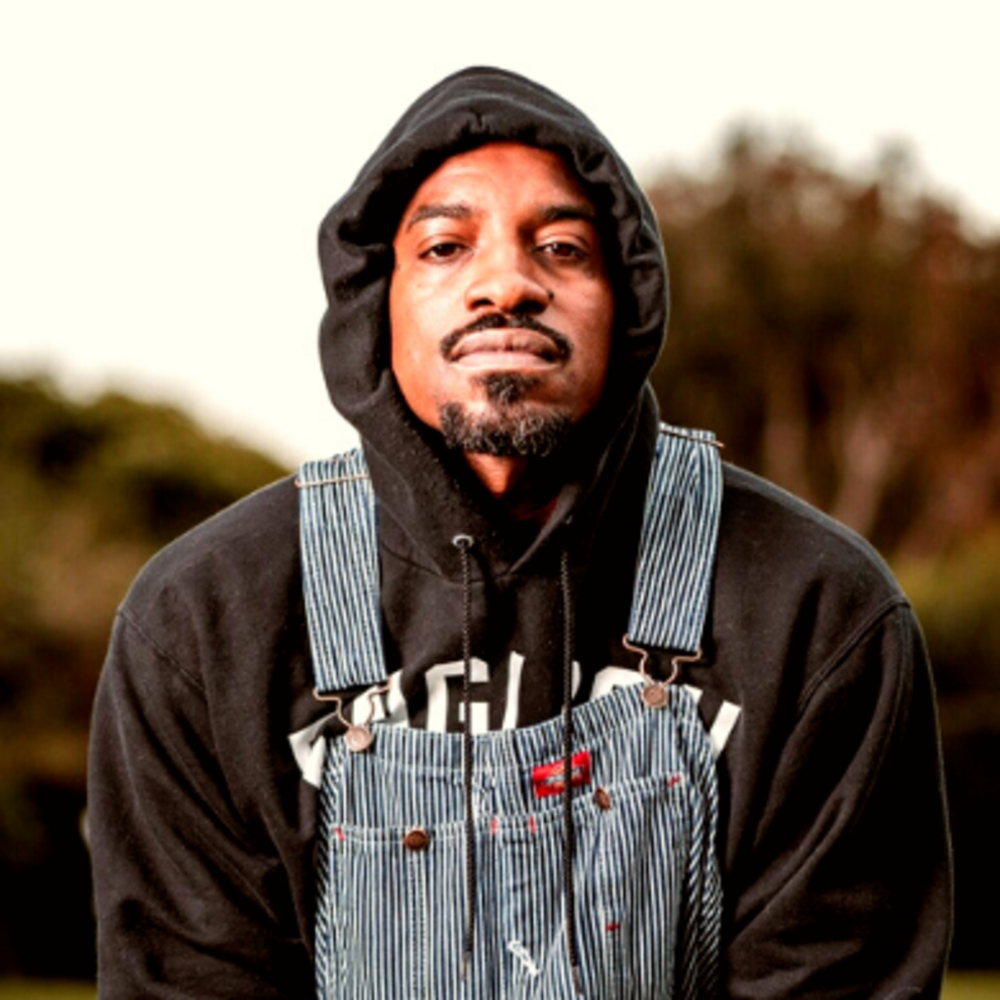 The Just Checkin\' In Podcast w/ Steven Qualls II & Patrick Weary, Jr.