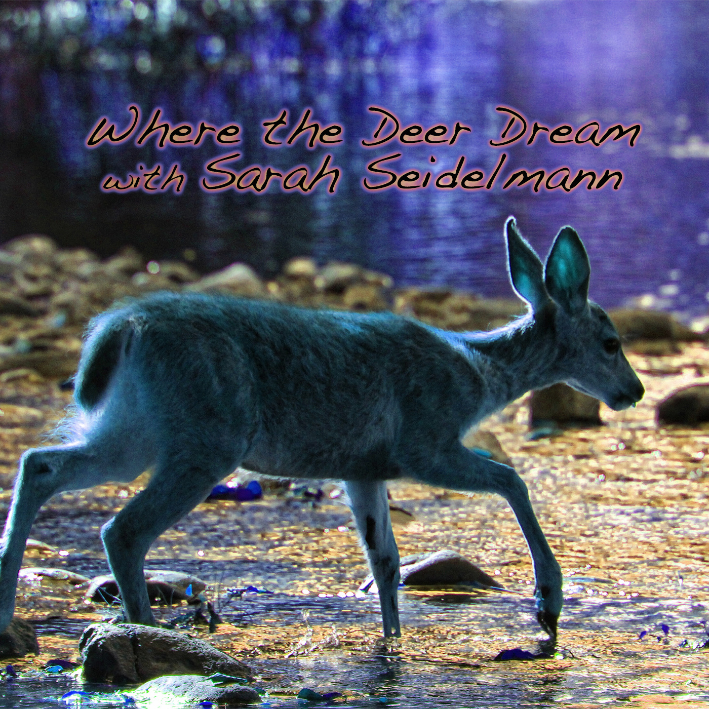 Episode 163: Where the Deer Dream with Sarah Seidelmann