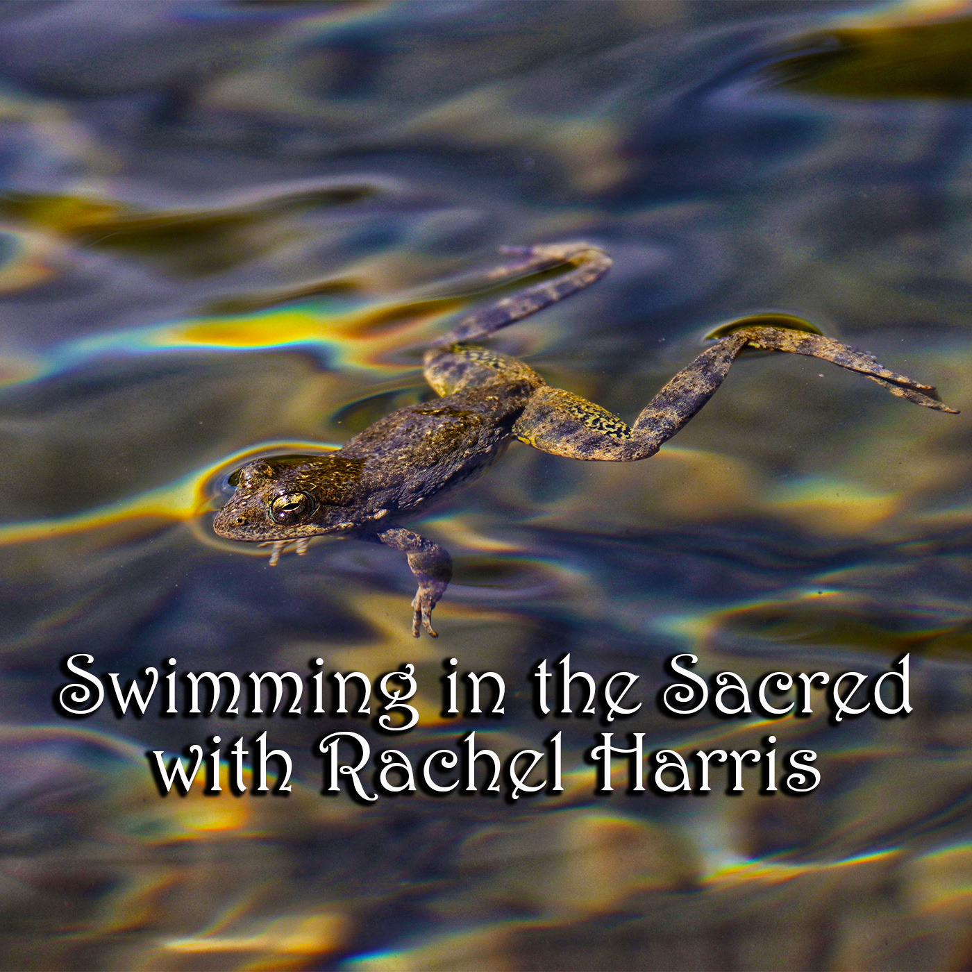 Episode 246: Swimming in the Sacred with Rachel Harris