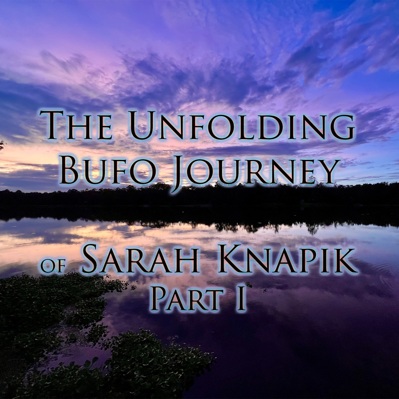 Episode 259: The Unfolding Bufo Journey of Sarah Knapik, Part I