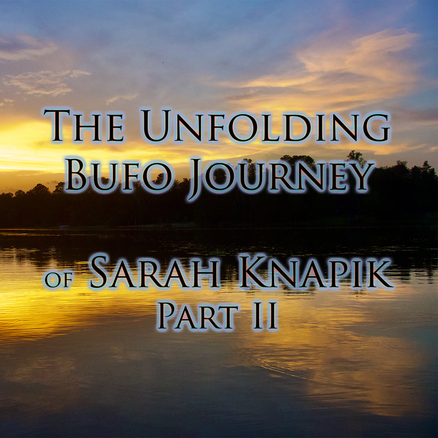 Episode 260: The Unfolding Bufo Journey of Sarah Knapik, Part II