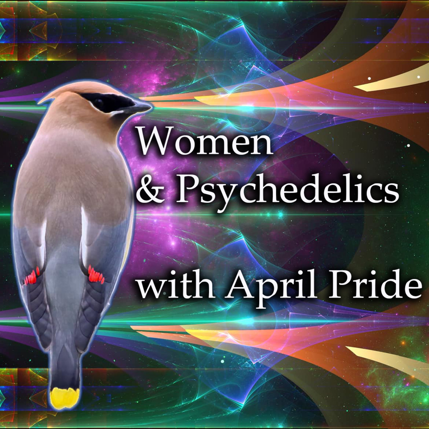 Episode 276: Women and Psychedelics with April Pride