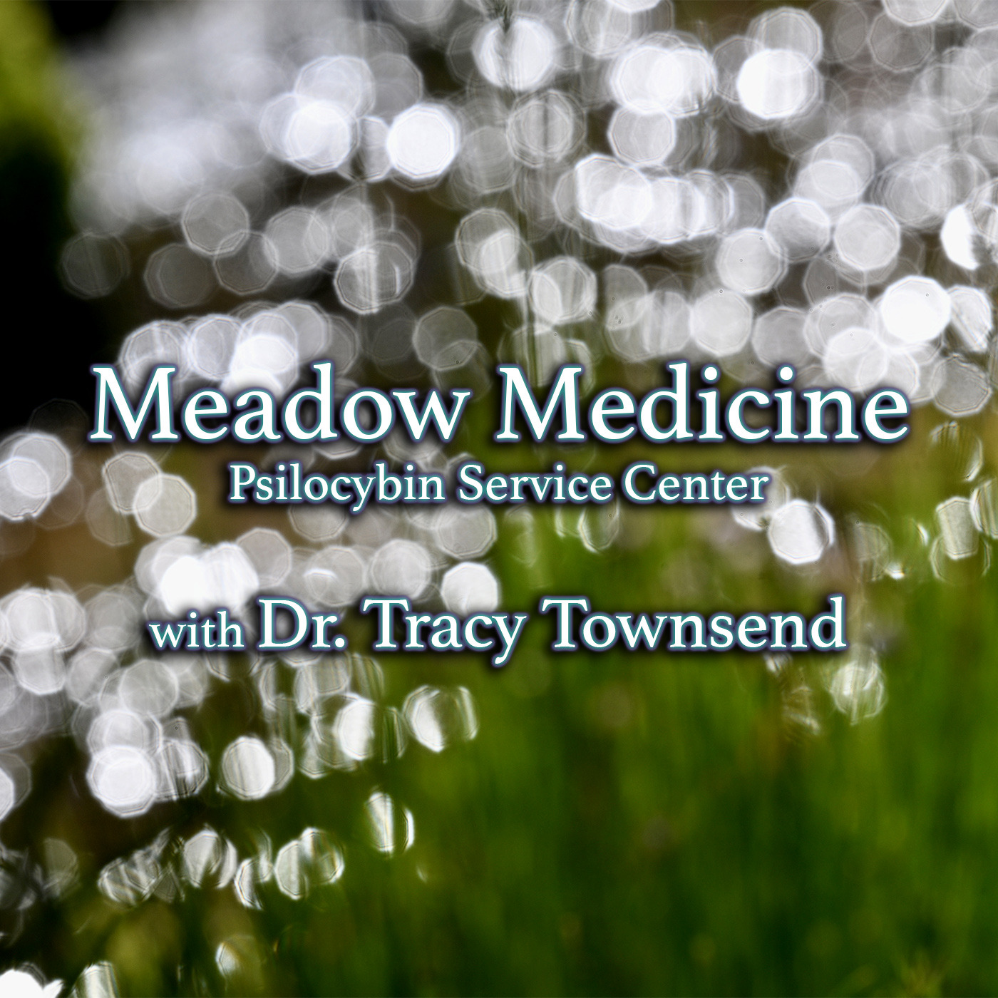 Episode 345: Meadow Medicine, Psilocybin Service Center with Dr. Tracy Townsend