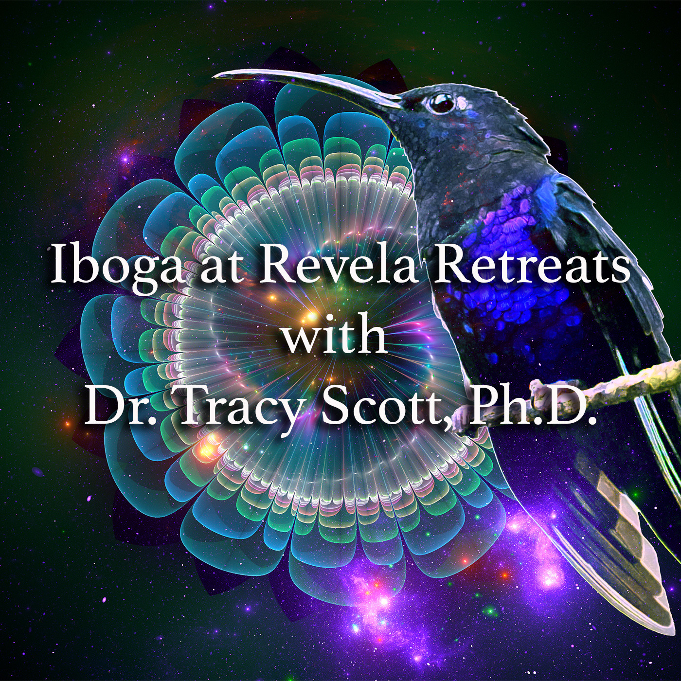 Episode 385: Iboga at Revela Retreats with Dr. Tracy Scott, Ph.D.