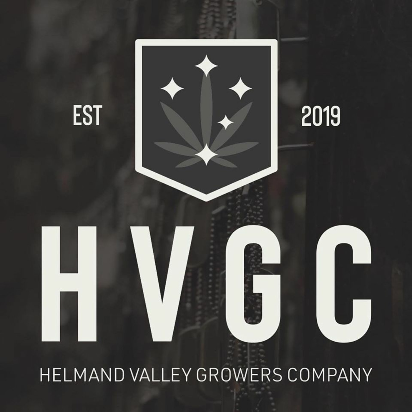 Helmand Valley Growers Company- Bryan Buckley