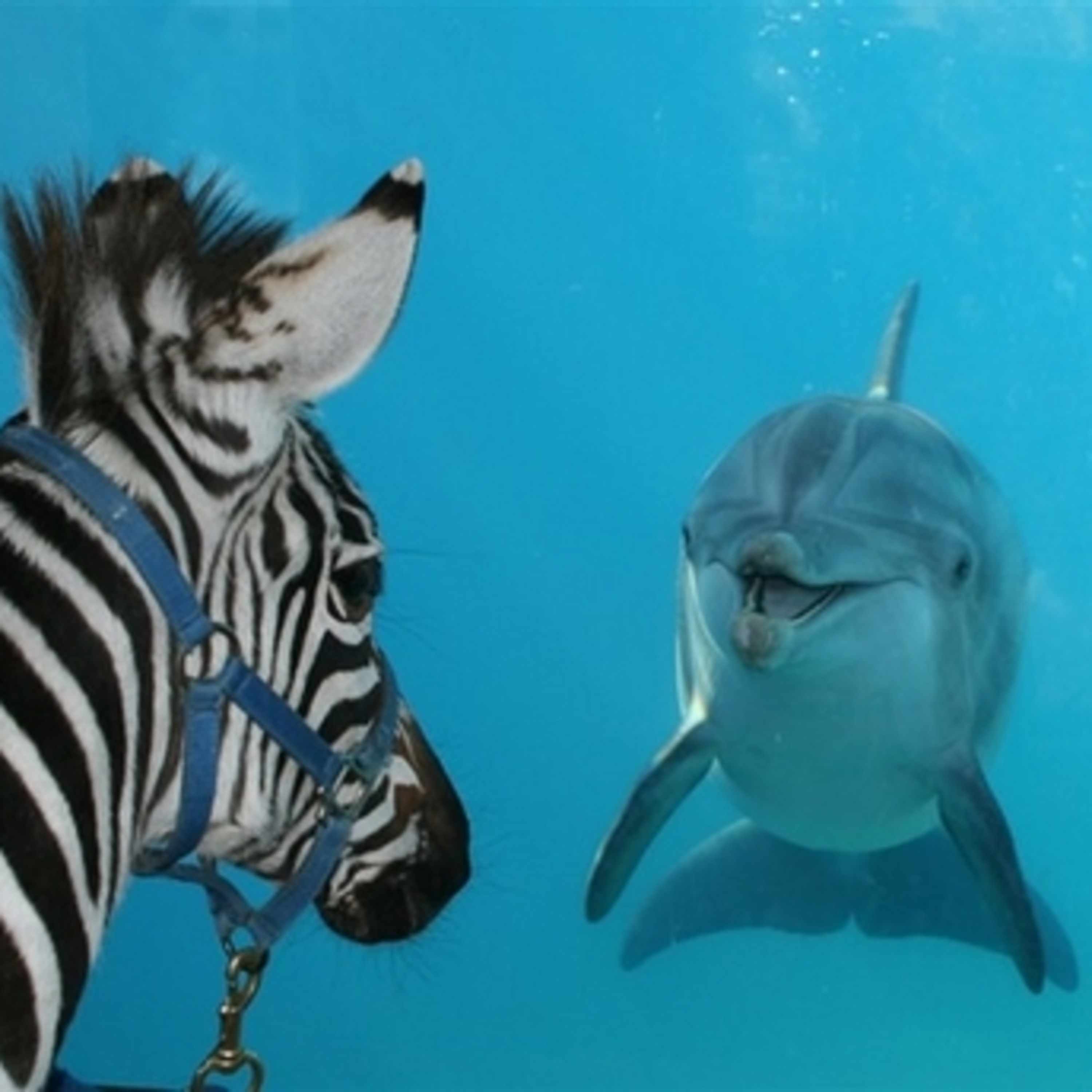 itunes pic