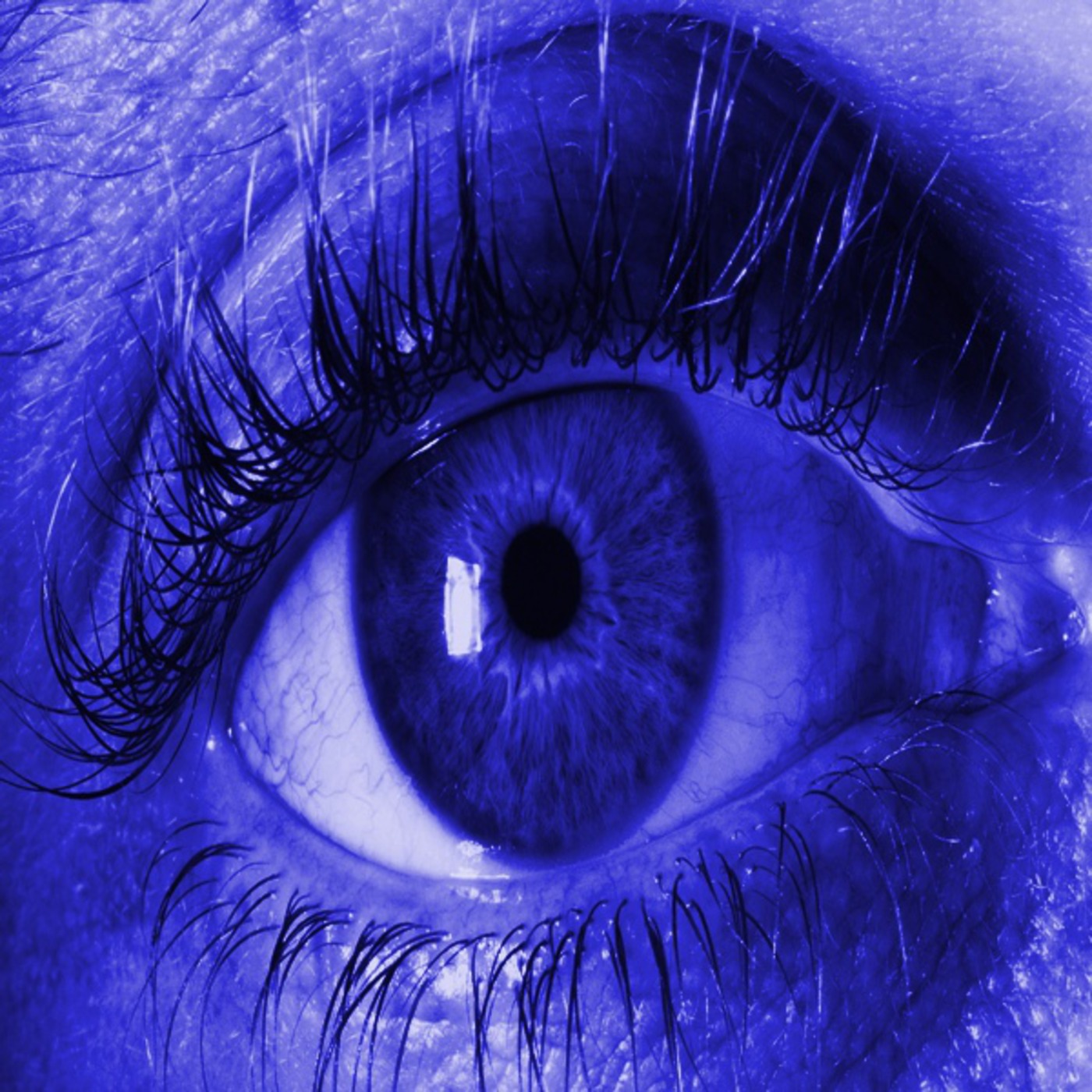 Episode 007 - You must EYEDENTIFY!