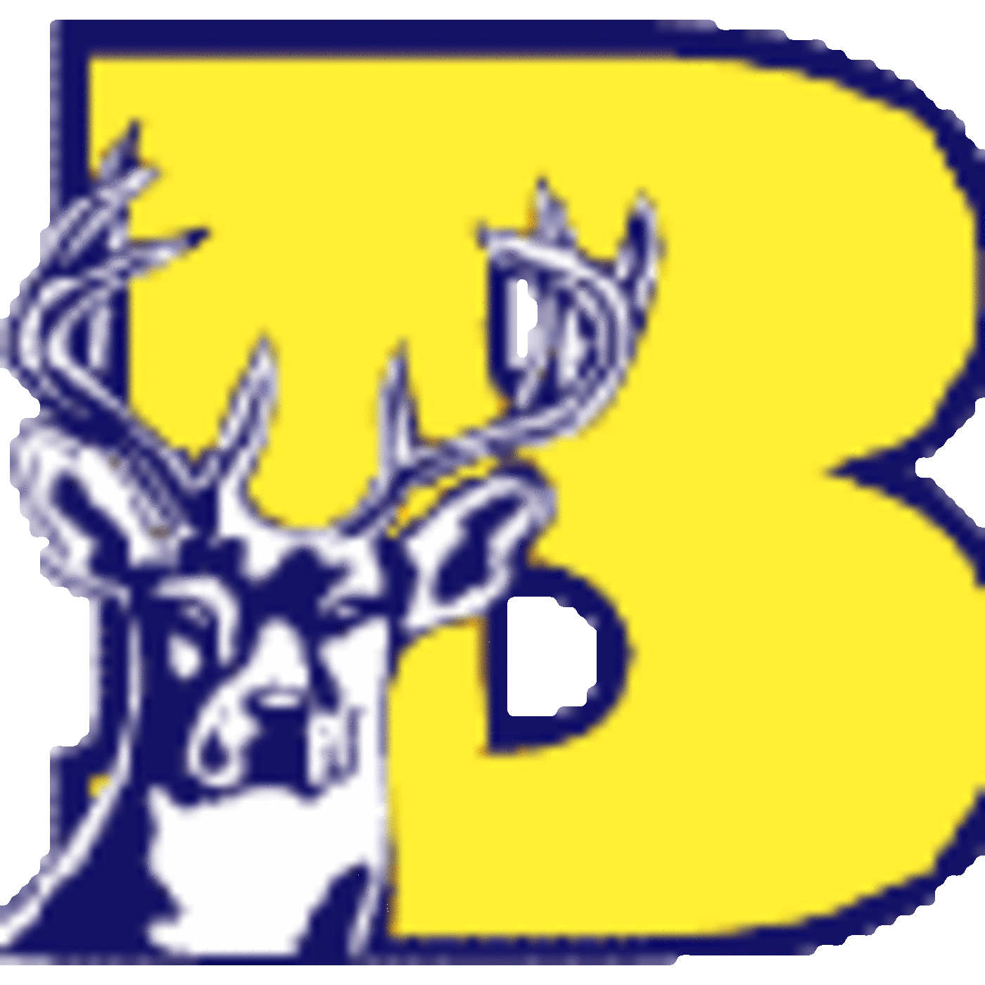 Buckhorn High School