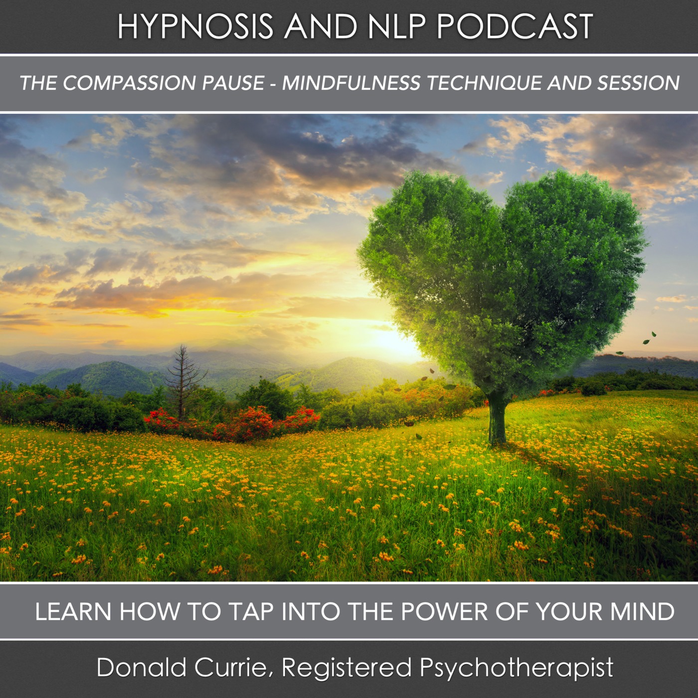 Hypnosis and NLP with Donald Currie, Registered Psychotherapist