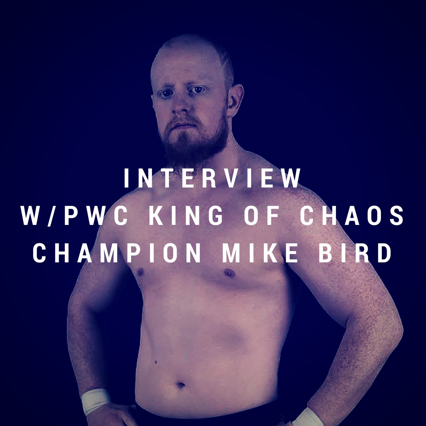 Mike Bird Interview episode artwork
