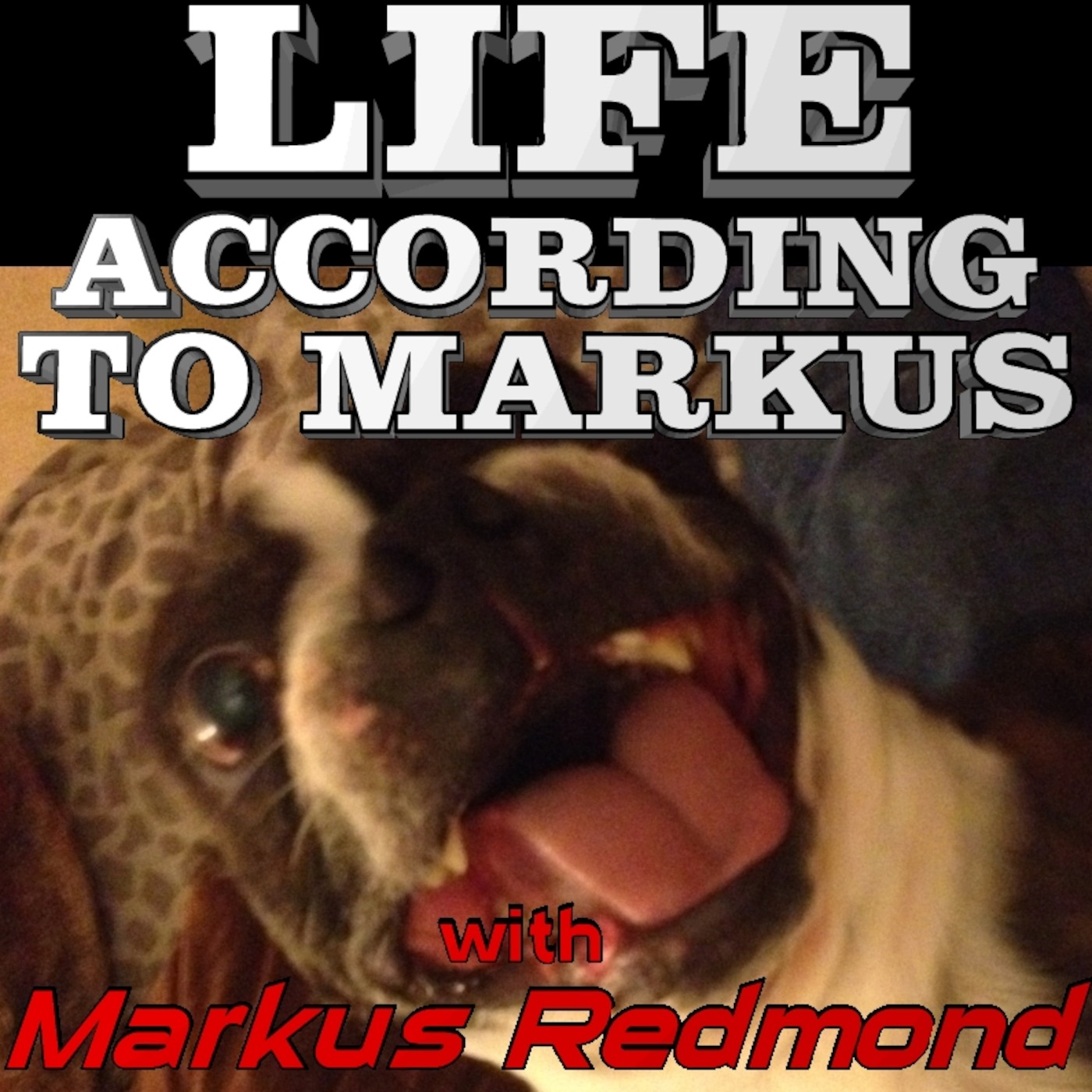 Life According to Markus podcast artwork