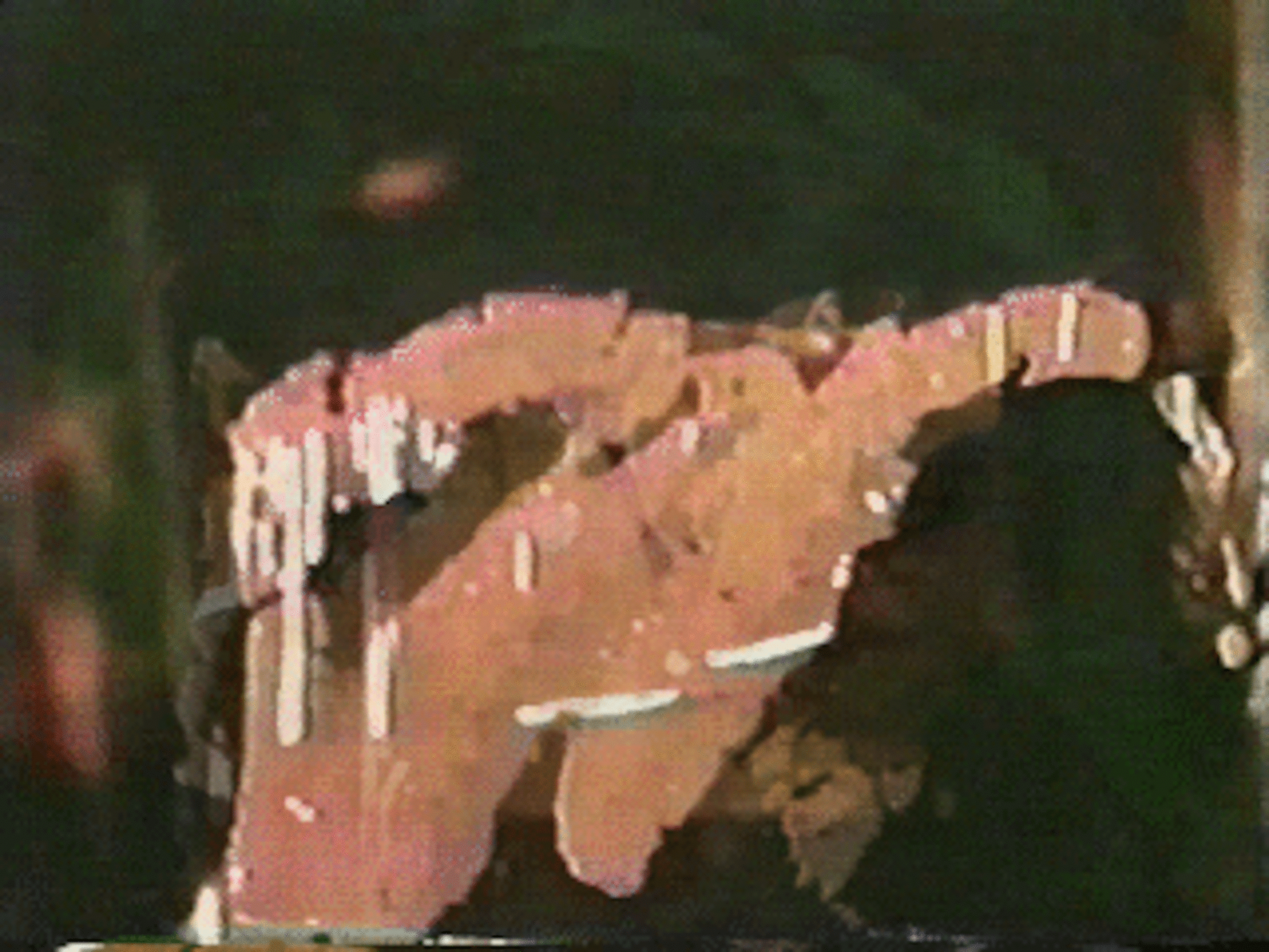 Are you Experienced ? episode artwork