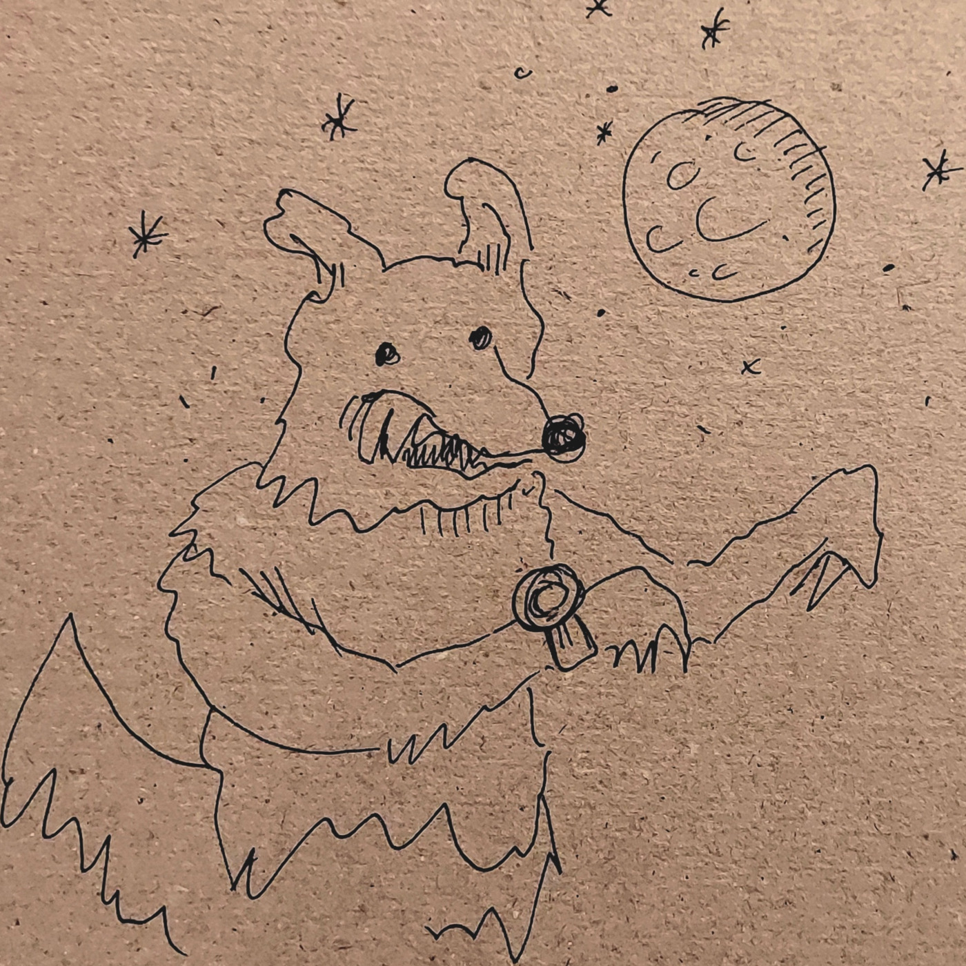 Stories I\'ll Never Write