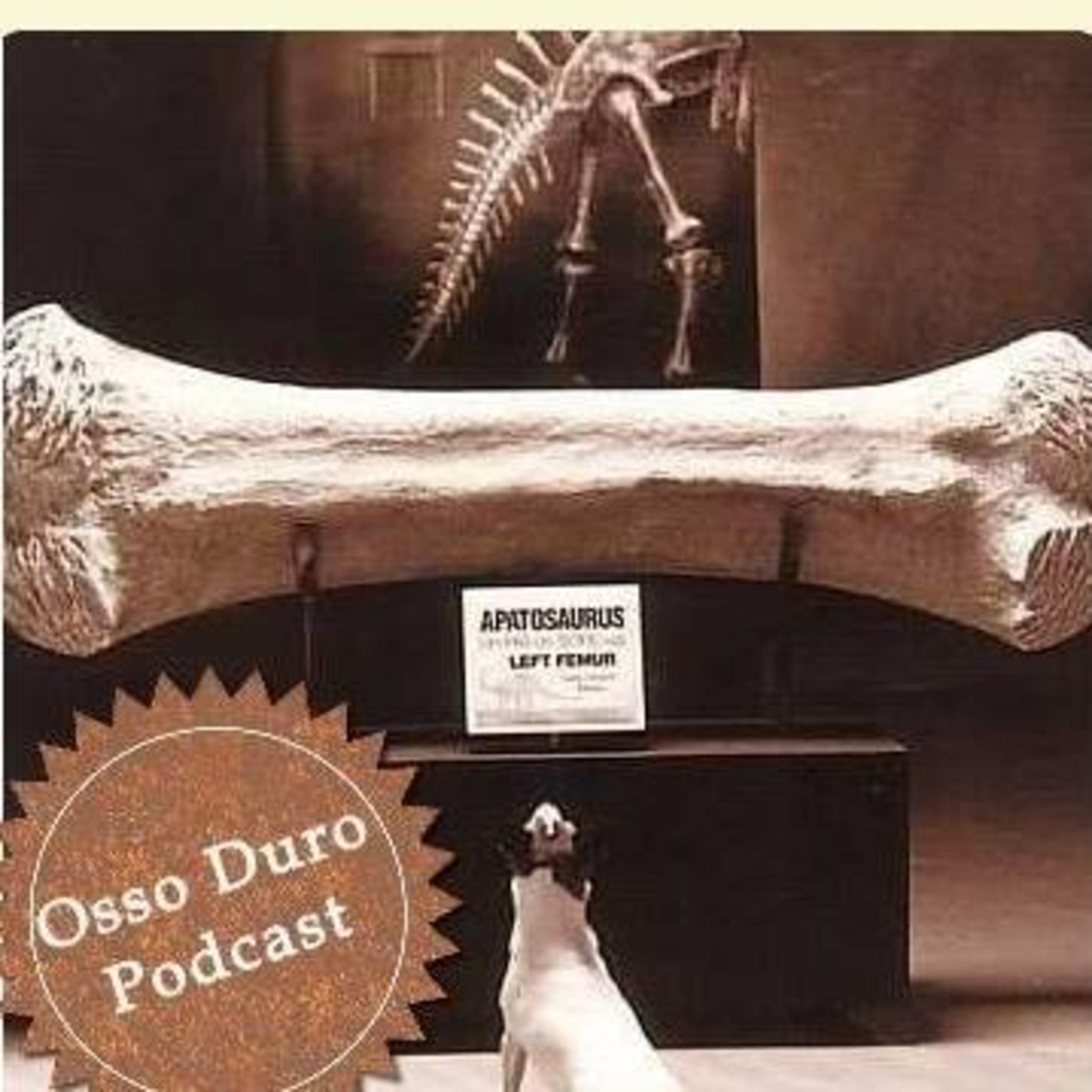 Osso Duro Podcast podcast artwork