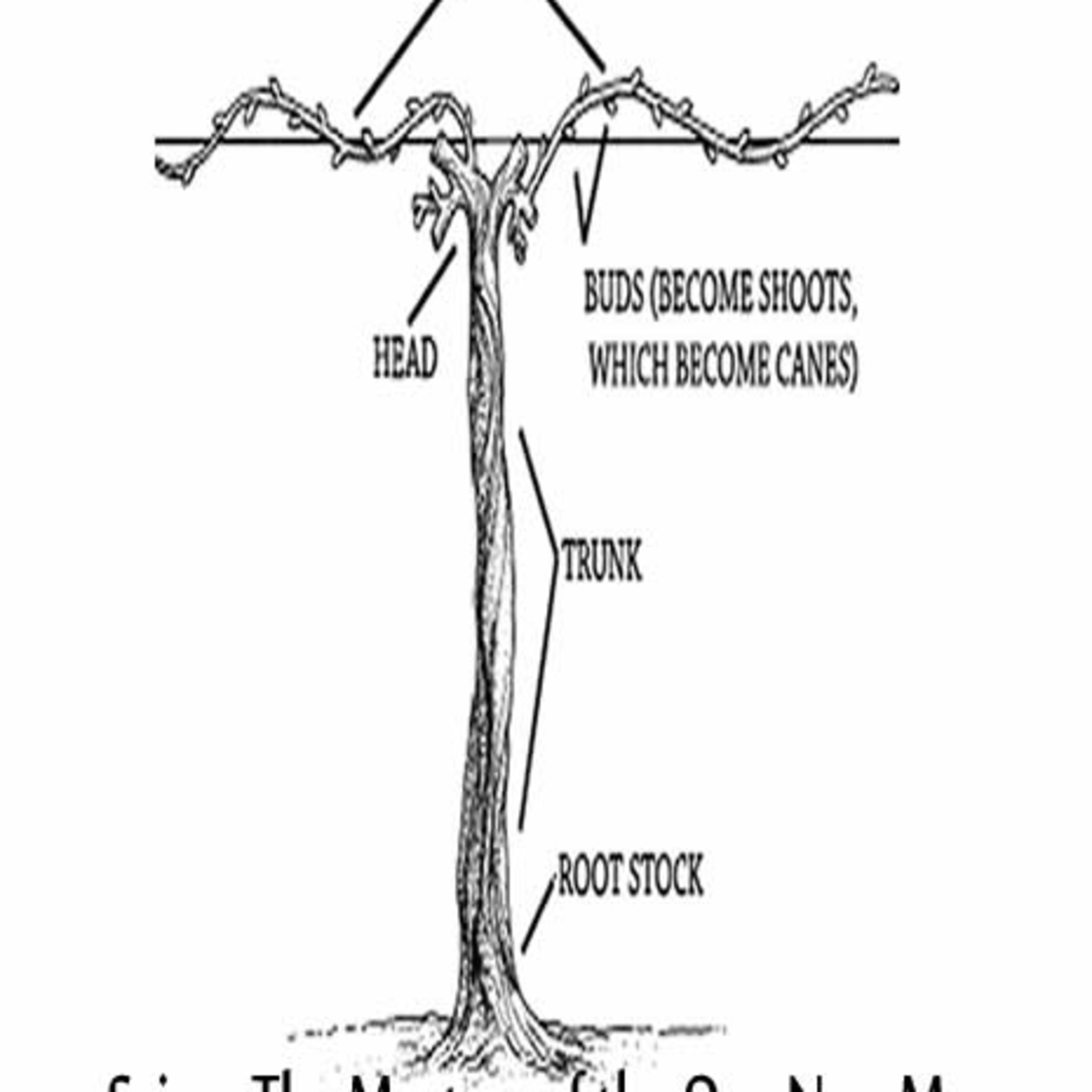 Threshing Floor Radio