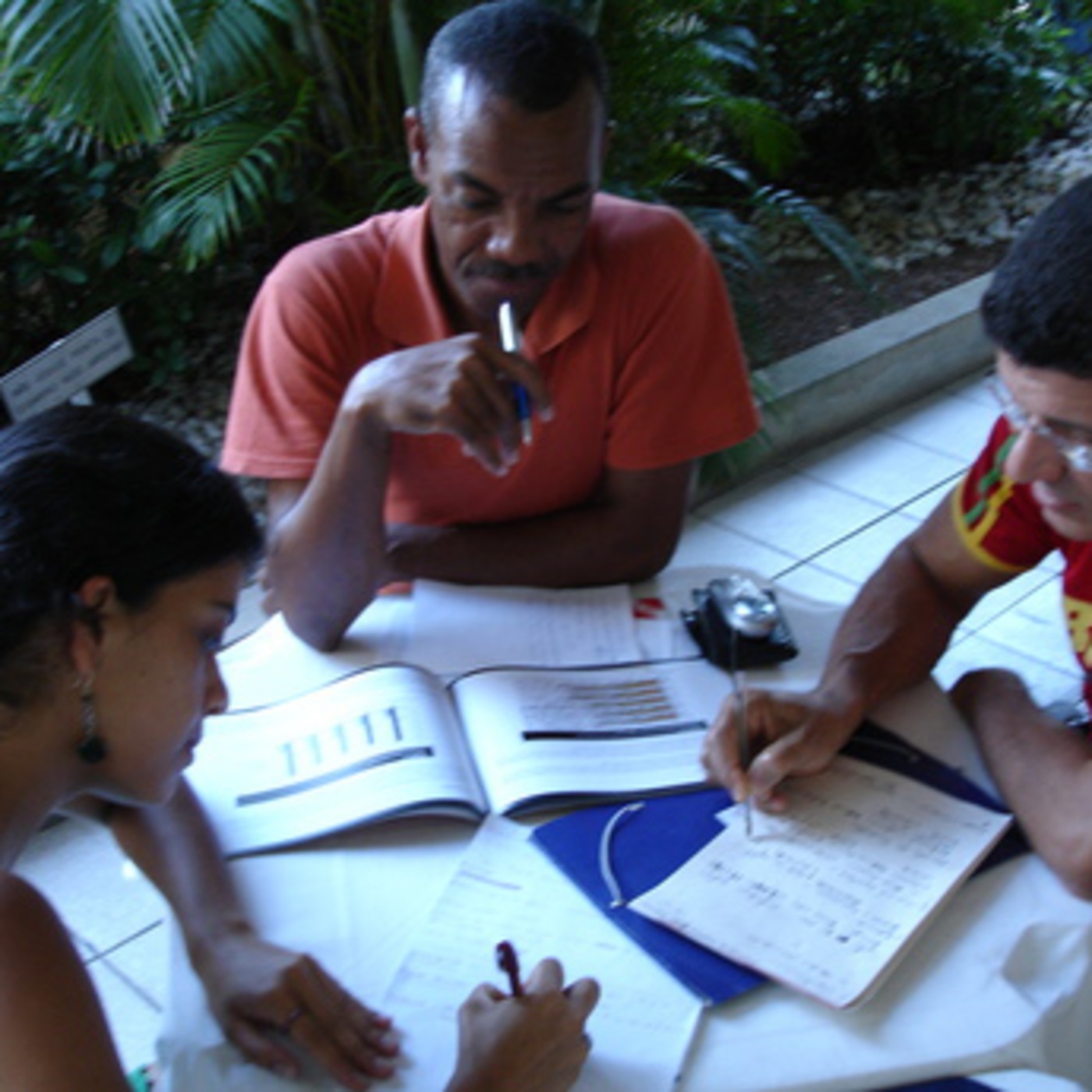 Anemia Falciforme Anemia Falciforme